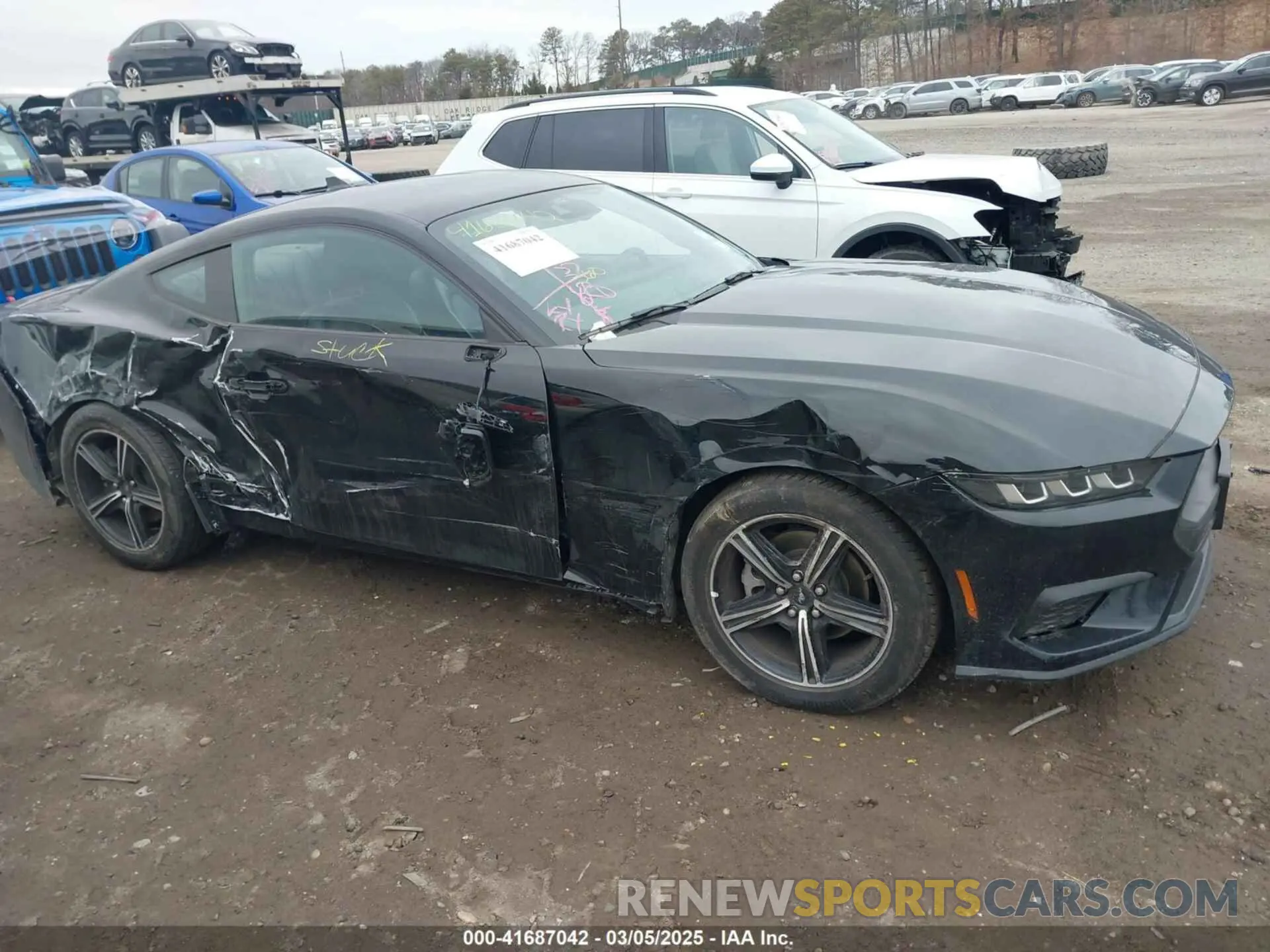 13 Photograph of a damaged car 1FA6P8TH0R5134826 FORD MUSTANG 2024