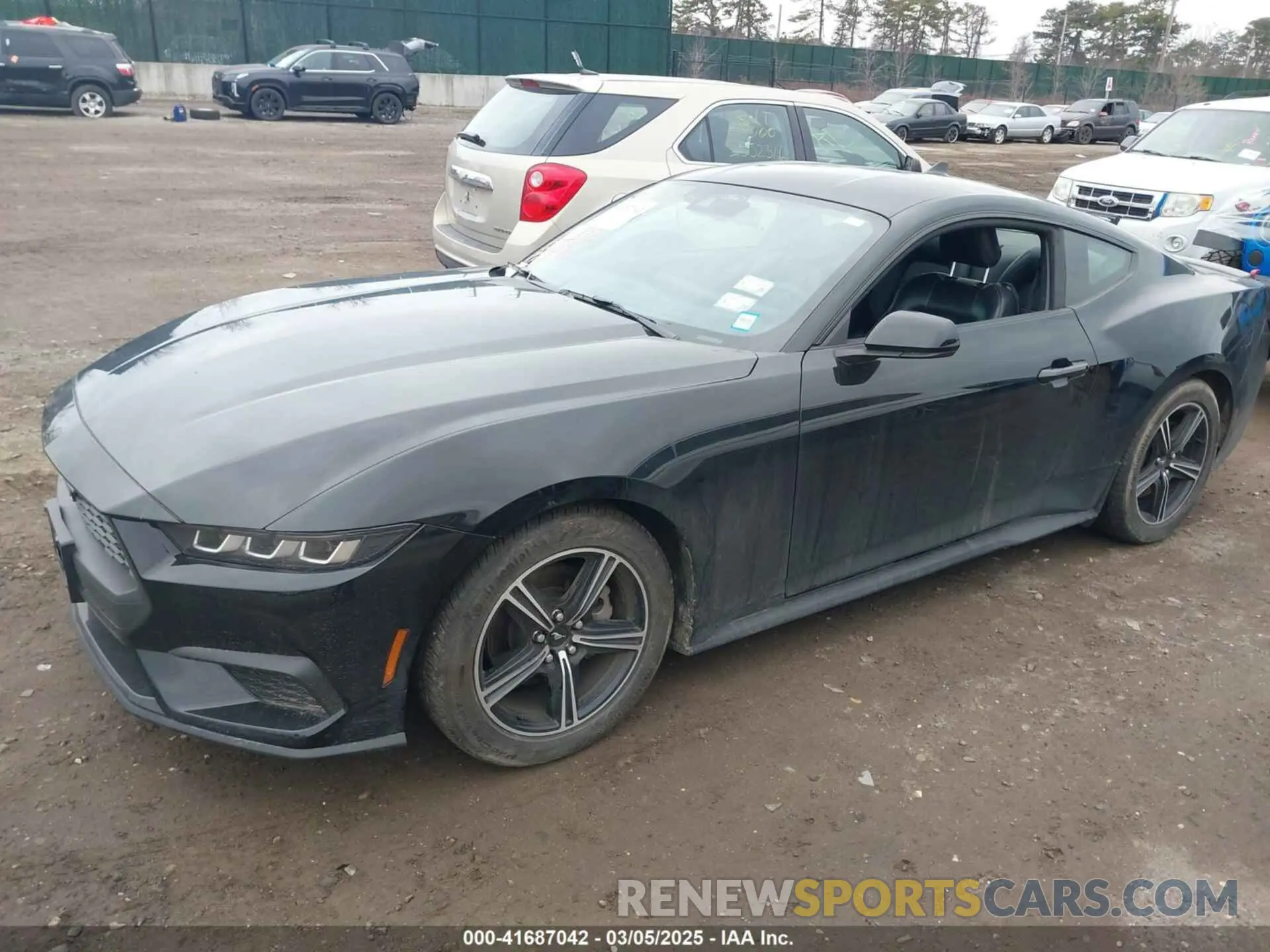 14 Photograph of a damaged car 1FA6P8TH0R5134826 FORD MUSTANG 2024