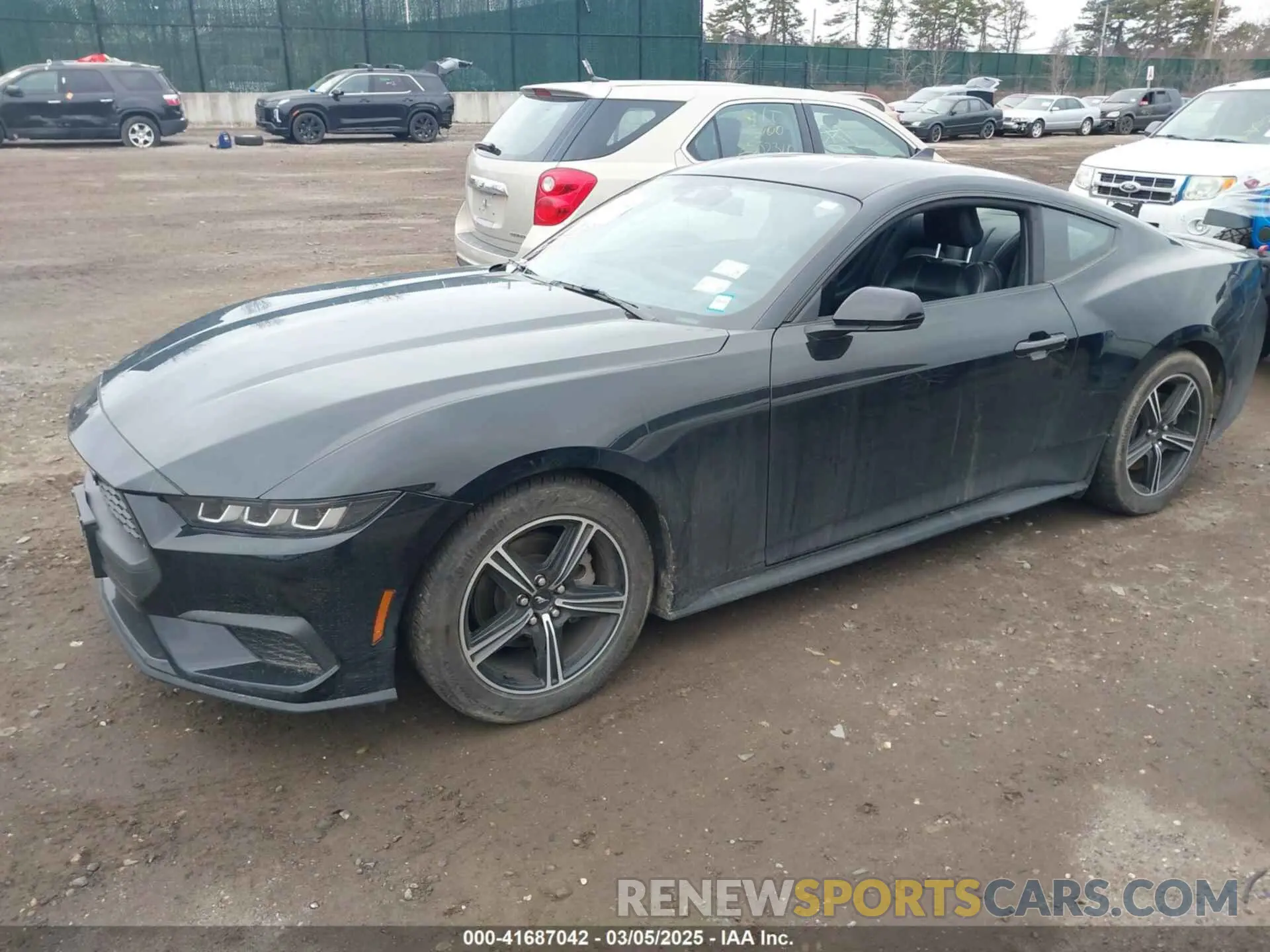 2 Photograph of a damaged car 1FA6P8TH0R5134826 FORD MUSTANG 2024