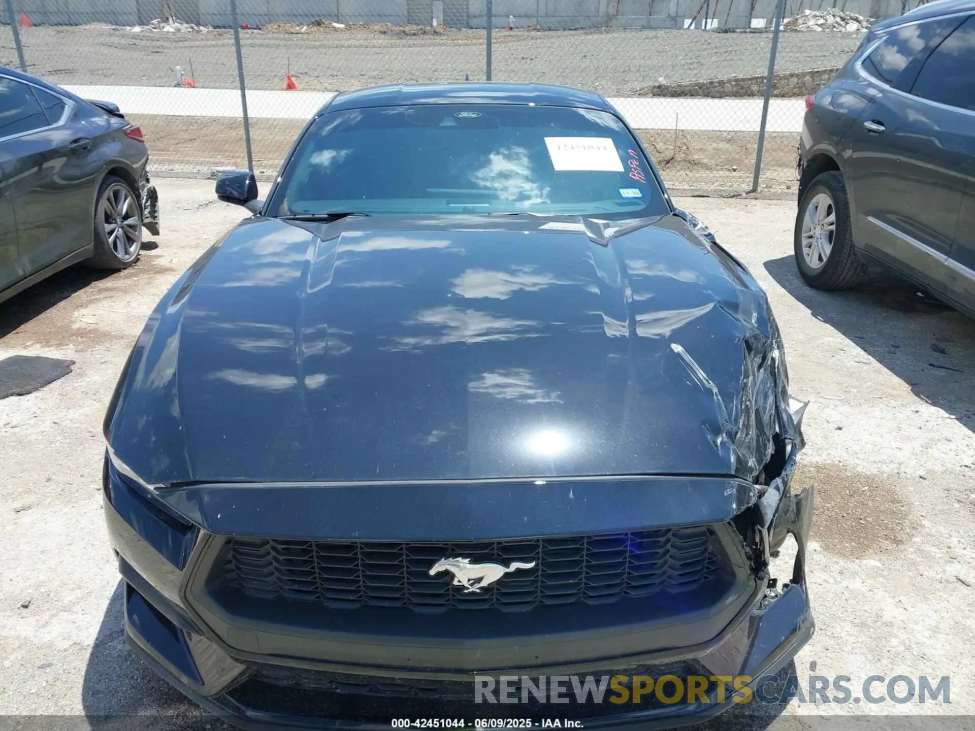 11 Photograph of a damaged car 1FA6P8TH0R5143185 FORD MUSTANG 2024