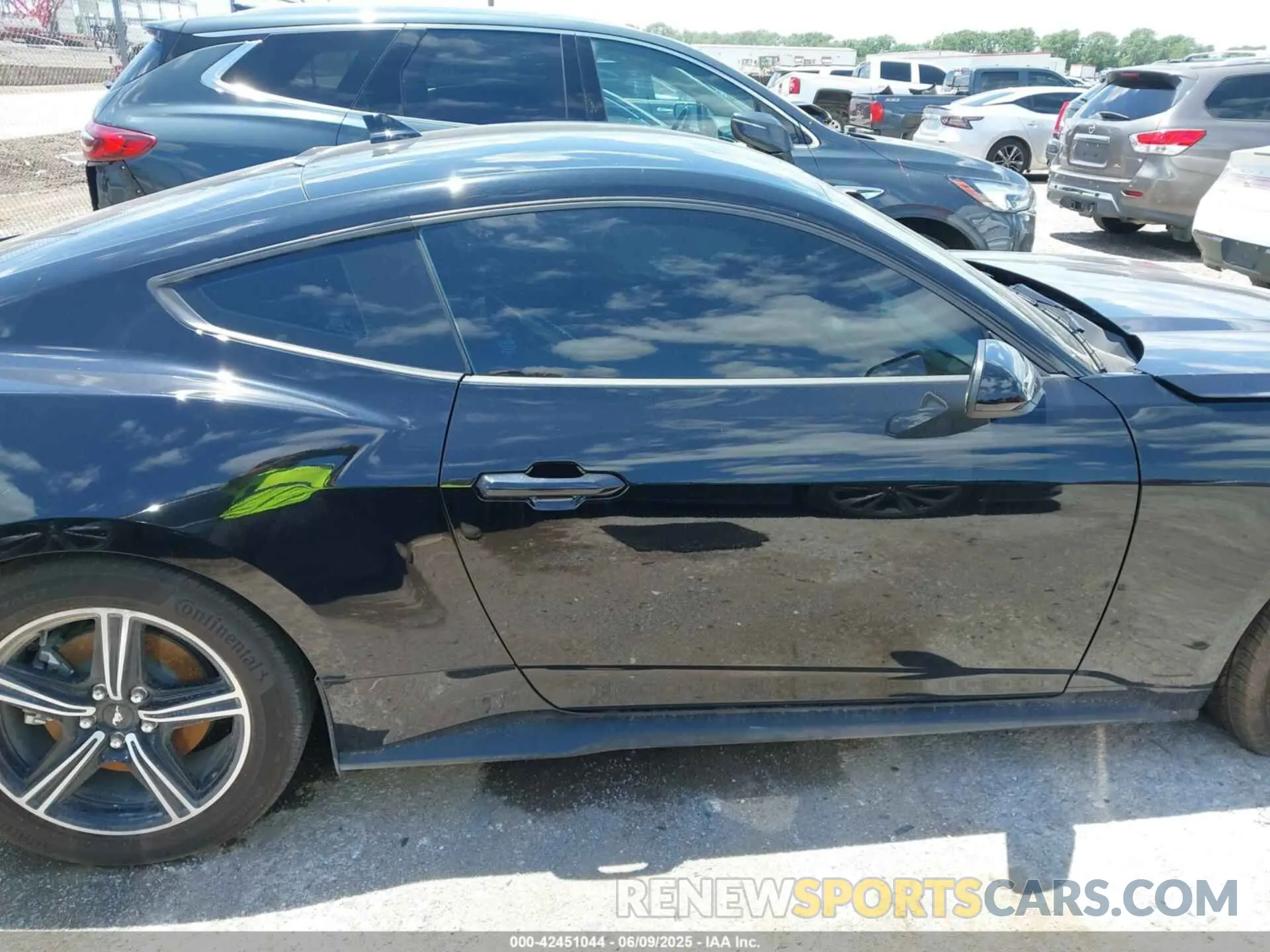 12 Photograph of a damaged car 1FA6P8TH0R5143185 FORD MUSTANG 2024