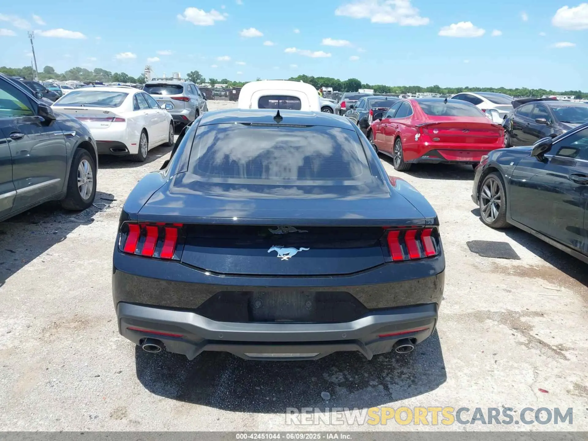15 Photograph of a damaged car 1FA6P8TH0R5143185 FORD MUSTANG 2024