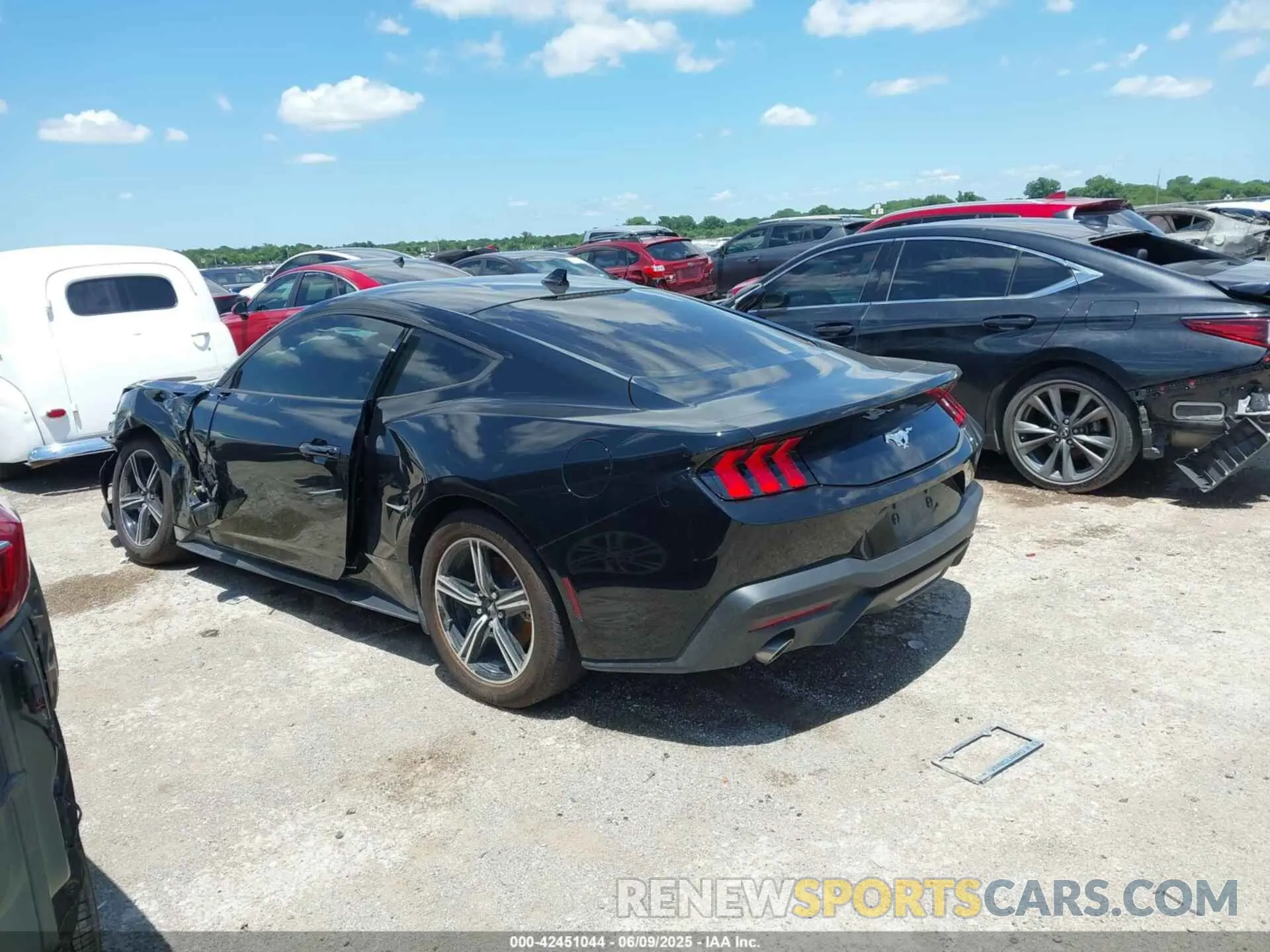 3 Photograph of a damaged car 1FA6P8TH0R5143185 FORD MUSTANG 2024