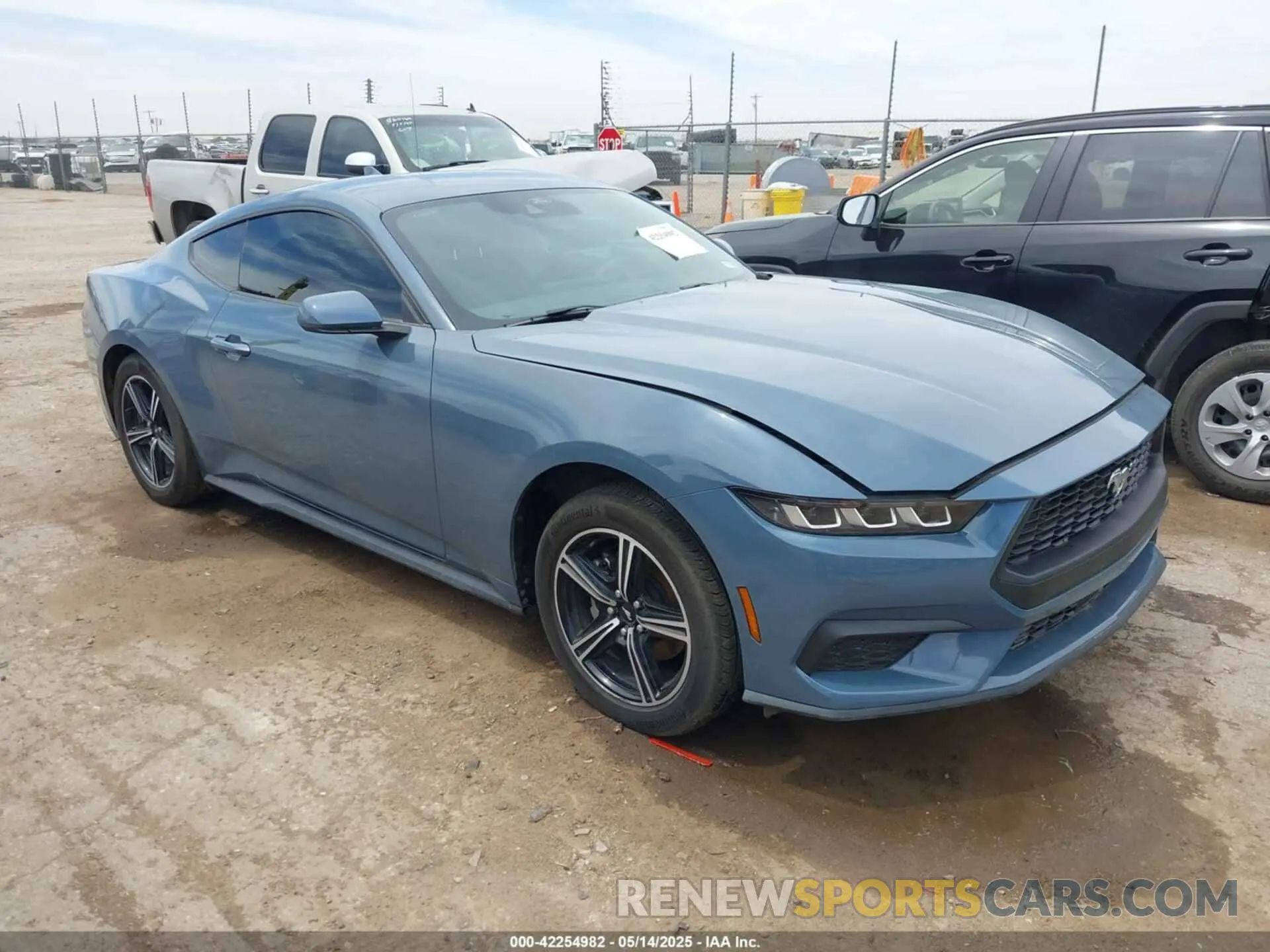 1 Photograph of a damaged car 1FA6P8TH0R5146037 FORD MUSTANG 2024