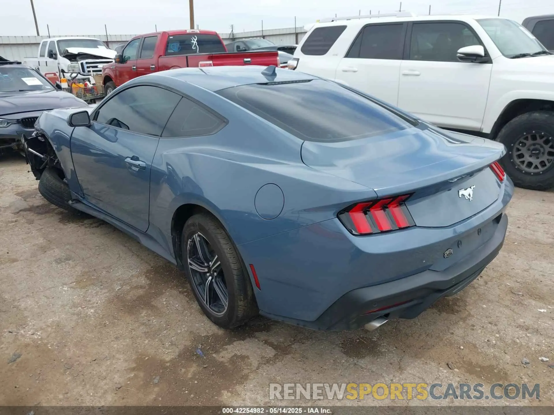 3 Photograph of a damaged car 1FA6P8TH0R5146037 FORD MUSTANG 2024