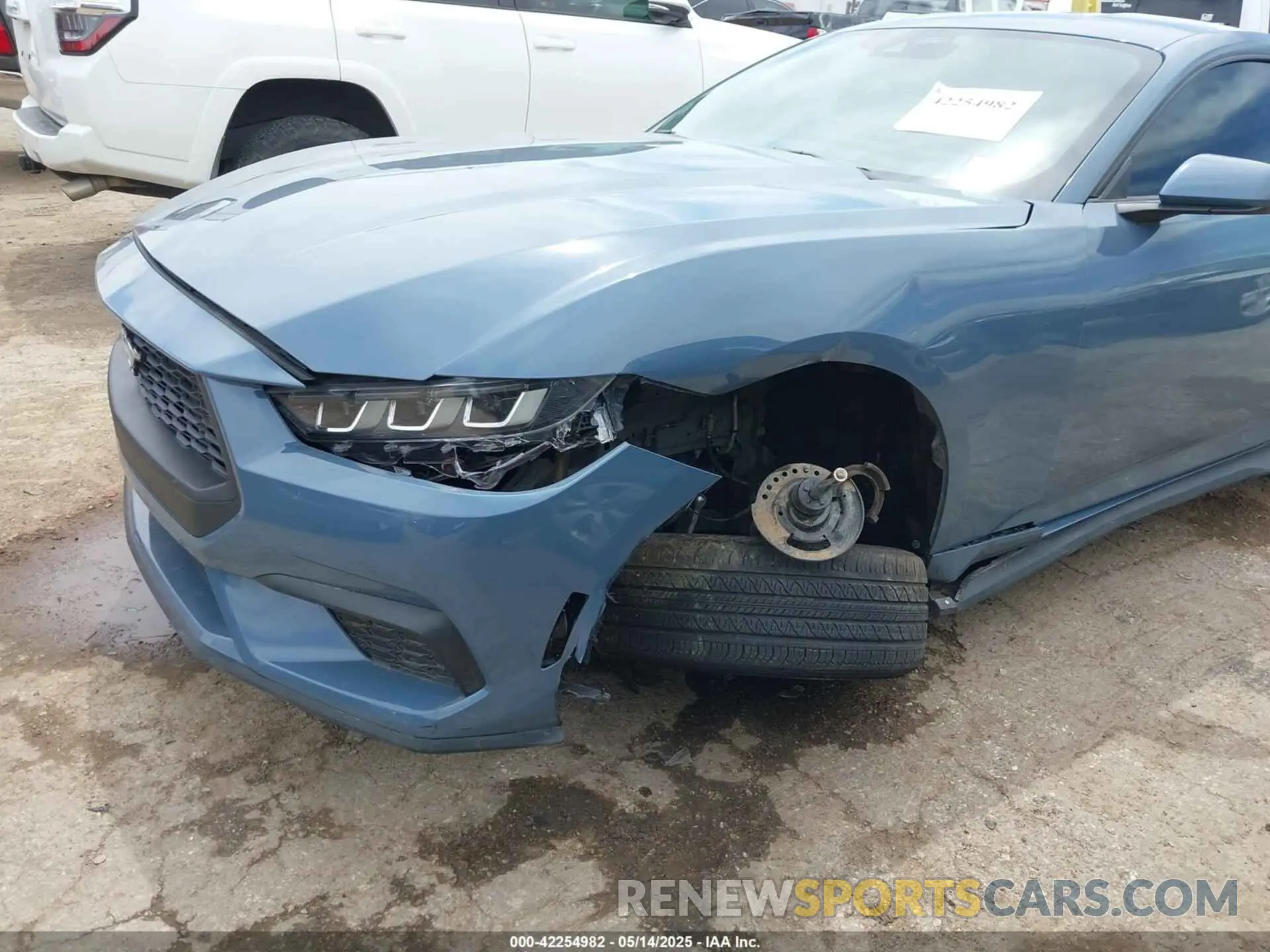 6 Photograph of a damaged car 1FA6P8TH0R5146037 FORD MUSTANG 2024