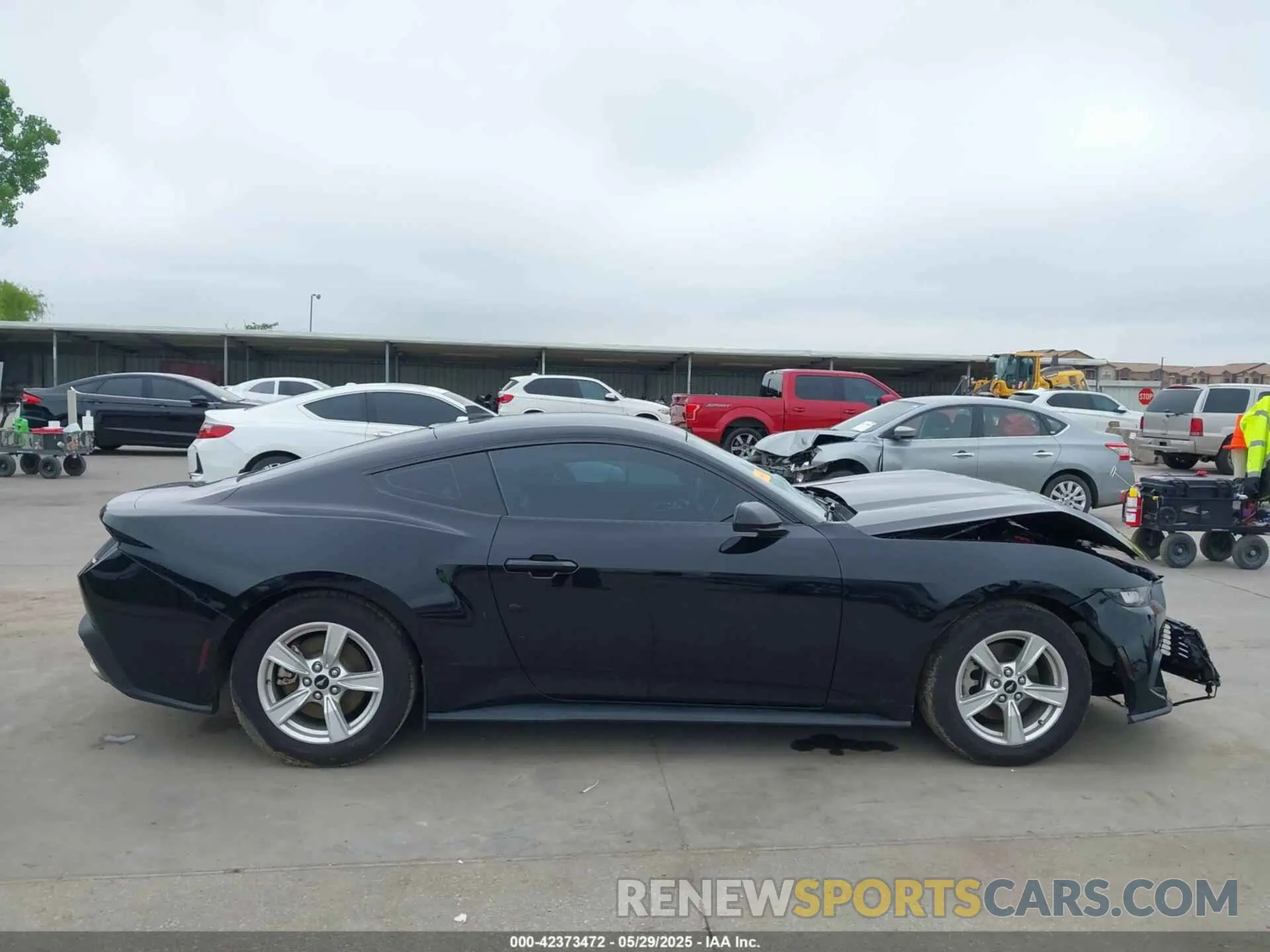 13 Photograph of a damaged car 1FA6P8TH1R5105612 FORD MUSTANG 2024