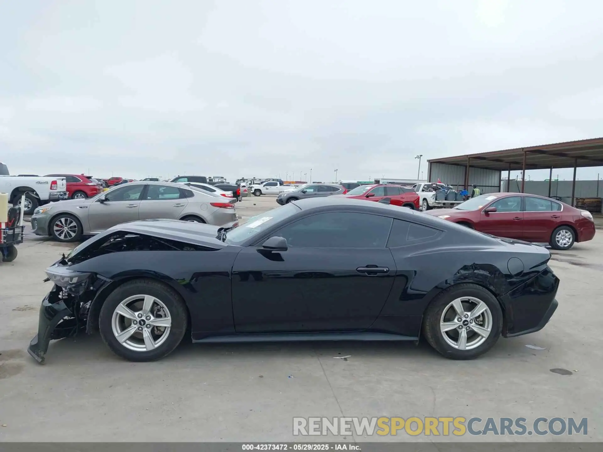 14 Photograph of a damaged car 1FA6P8TH1R5105612 FORD MUSTANG 2024