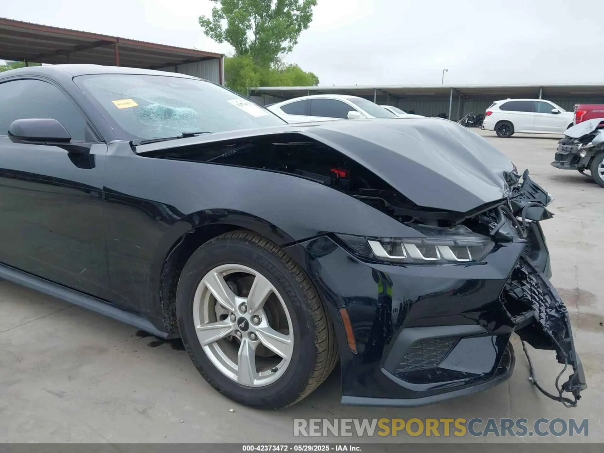 21 Photograph of a damaged car 1FA6P8TH1R5105612 FORD MUSTANG 2024
