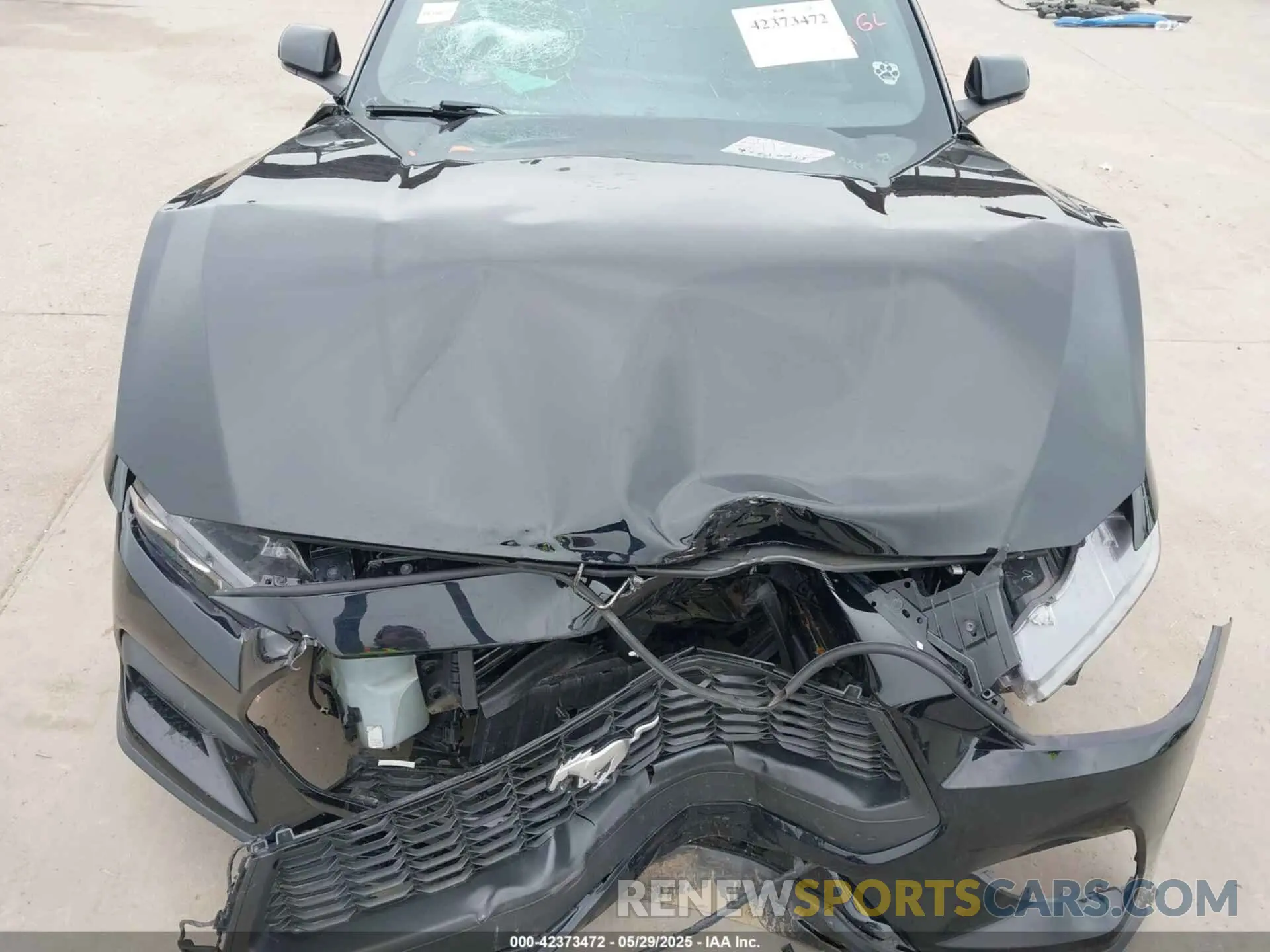 6 Photograph of a damaged car 1FA6P8TH1R5105612 FORD MUSTANG 2024