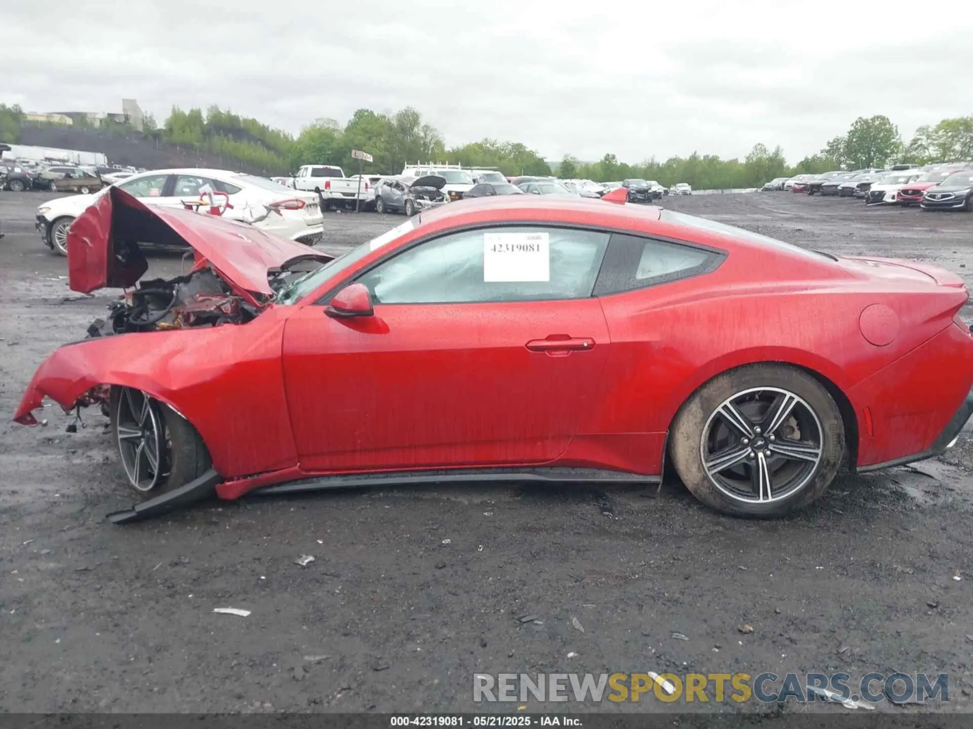 13 Photograph of a damaged car 1FA6P8TH1R5137895 FORD MUSTANG 2024