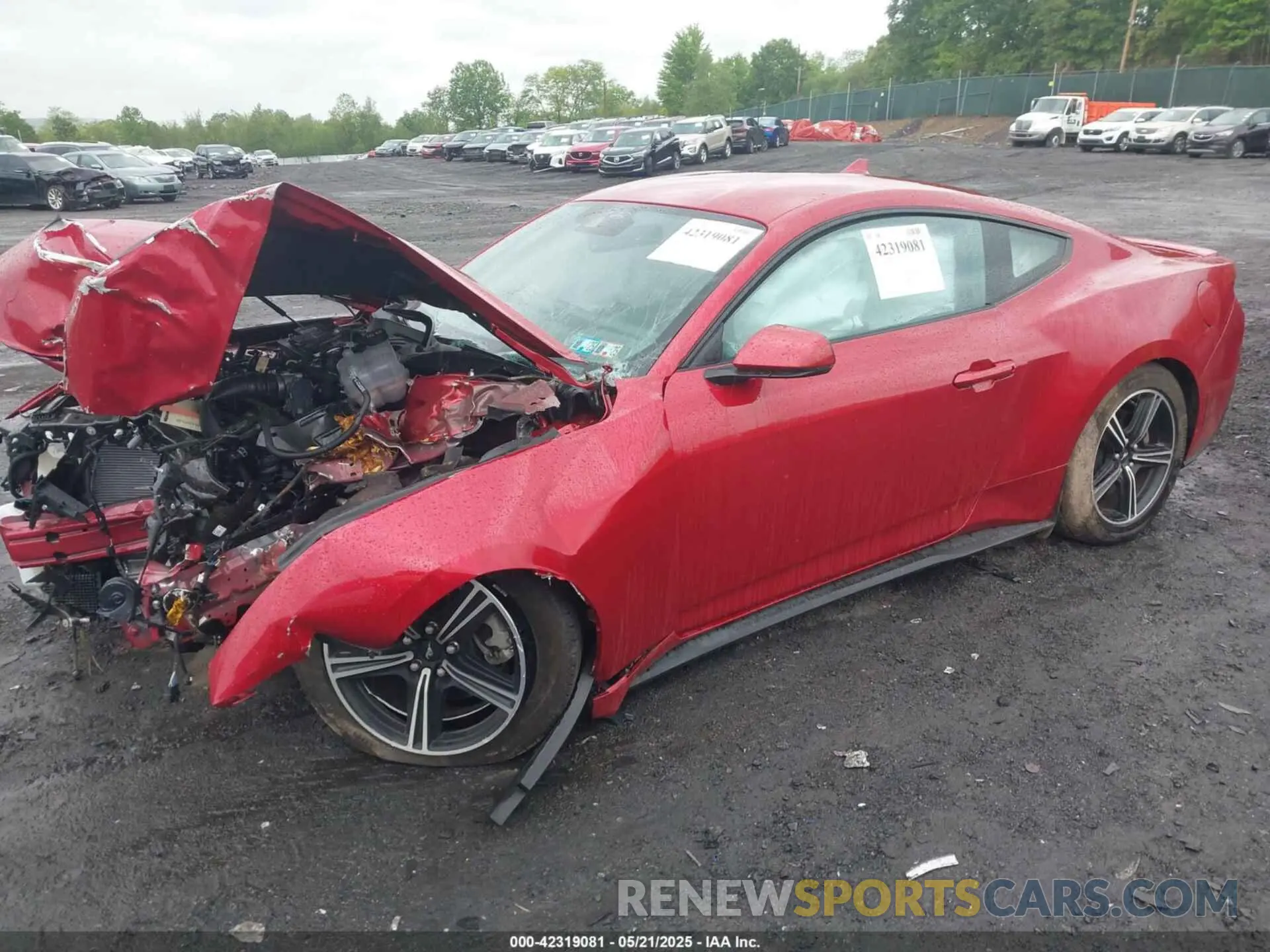 2 Photograph of a damaged car 1FA6P8TH1R5137895 FORD MUSTANG 2024