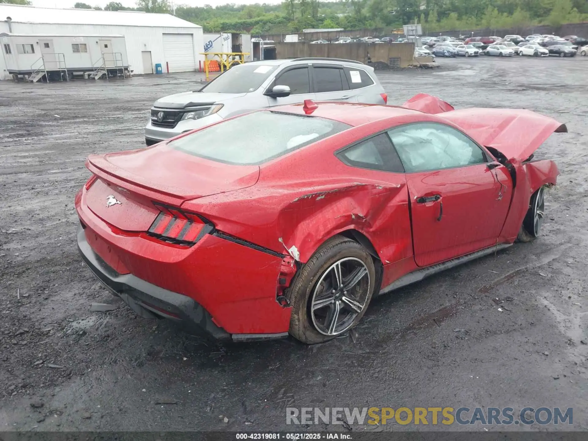 4 Photograph of a damaged car 1FA6P8TH1R5137895 FORD MUSTANG 2024