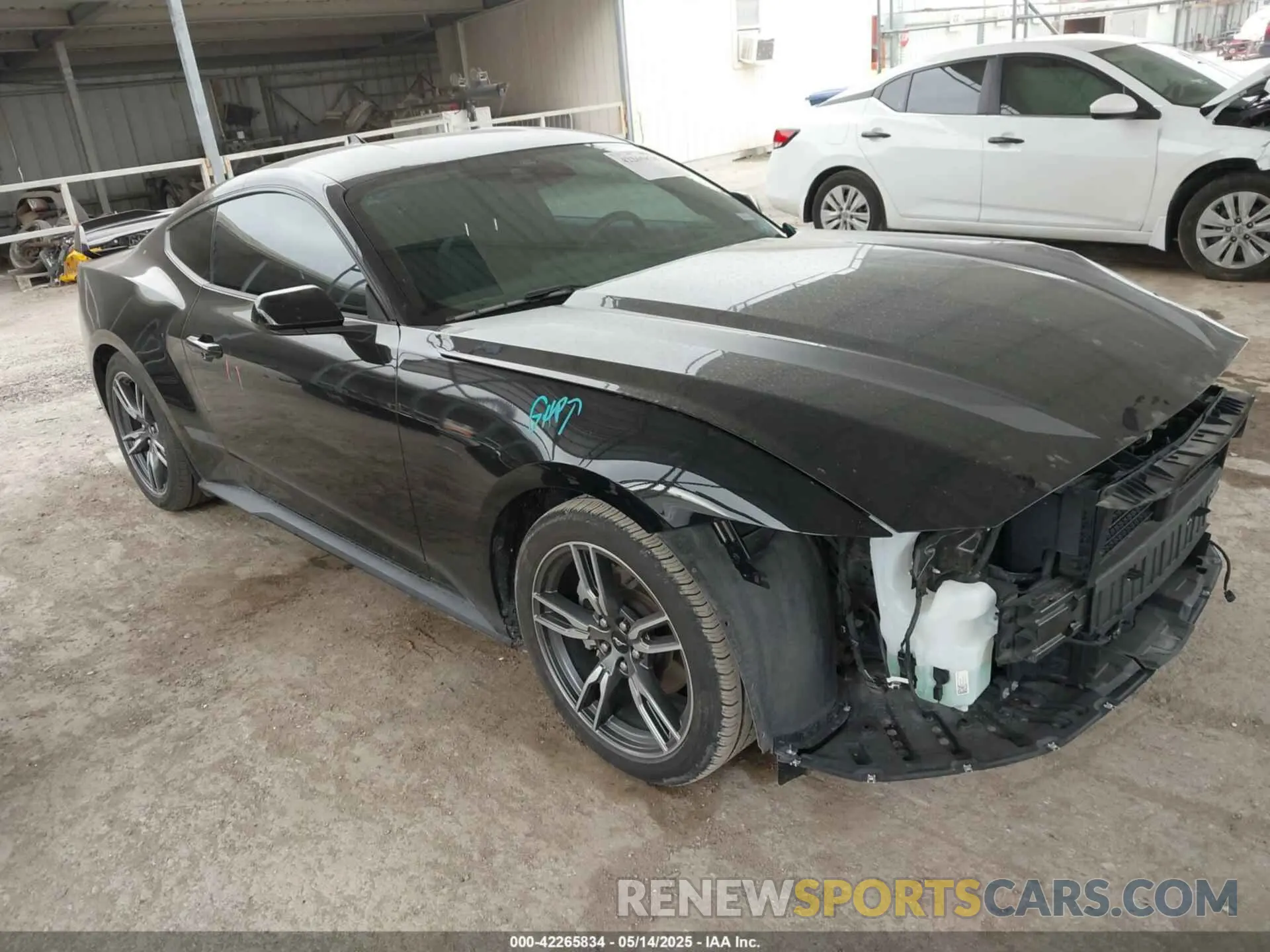 1 Photograph of a damaged car 1FA6P8TH2R5109961 FORD MUSTANG 2024