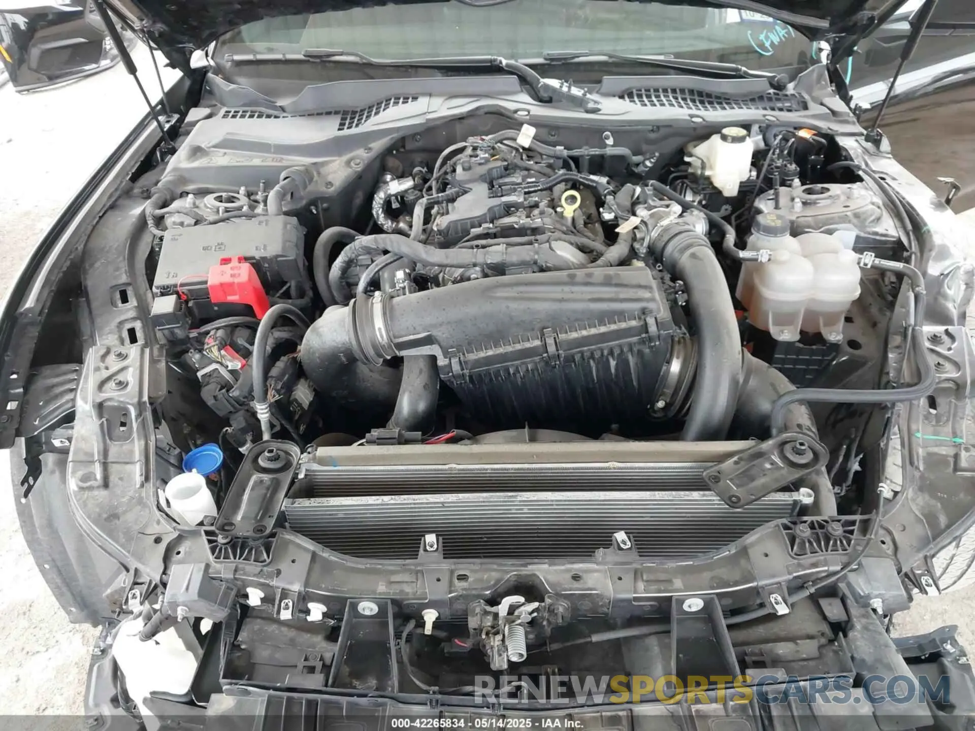 10 Photograph of a damaged car 1FA6P8TH2R5109961 FORD MUSTANG 2024