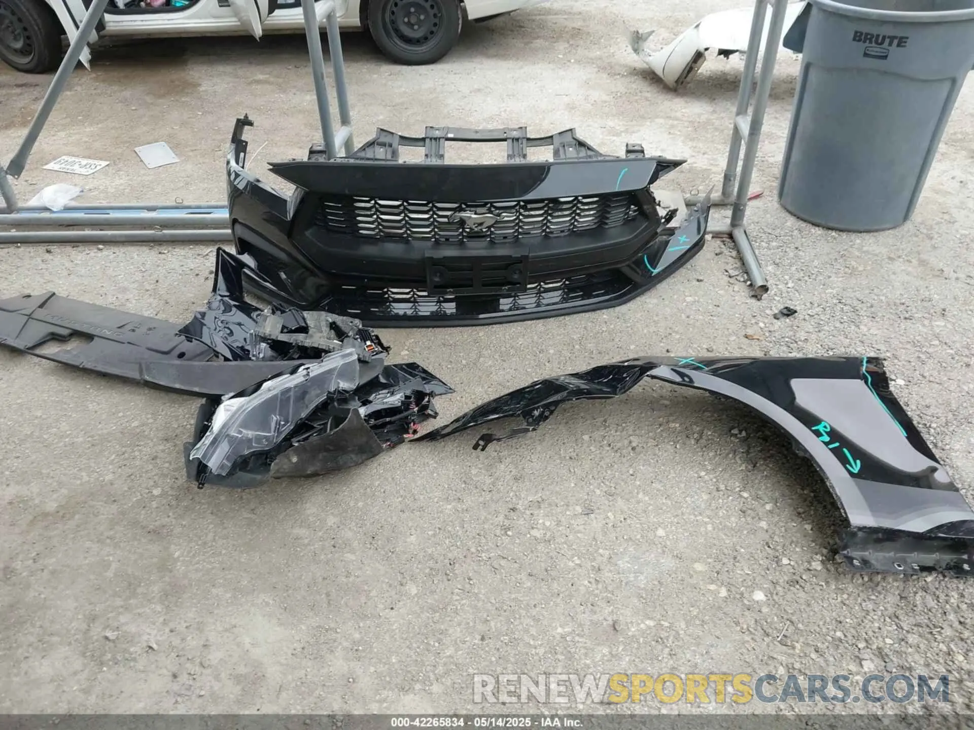 12 Photograph of a damaged car 1FA6P8TH2R5109961 FORD MUSTANG 2024