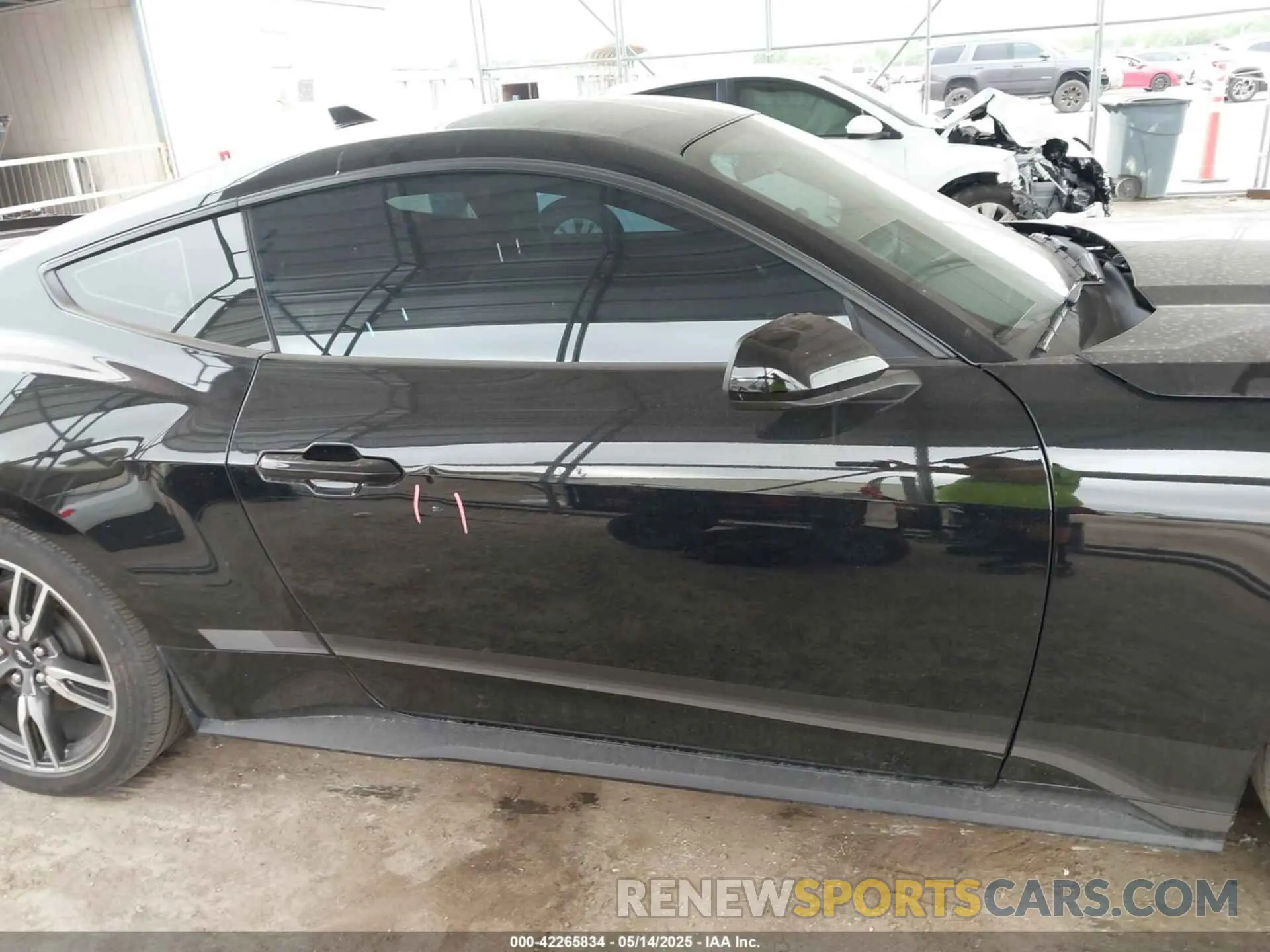 14 Photograph of a damaged car 1FA6P8TH2R5109961 FORD MUSTANG 2024