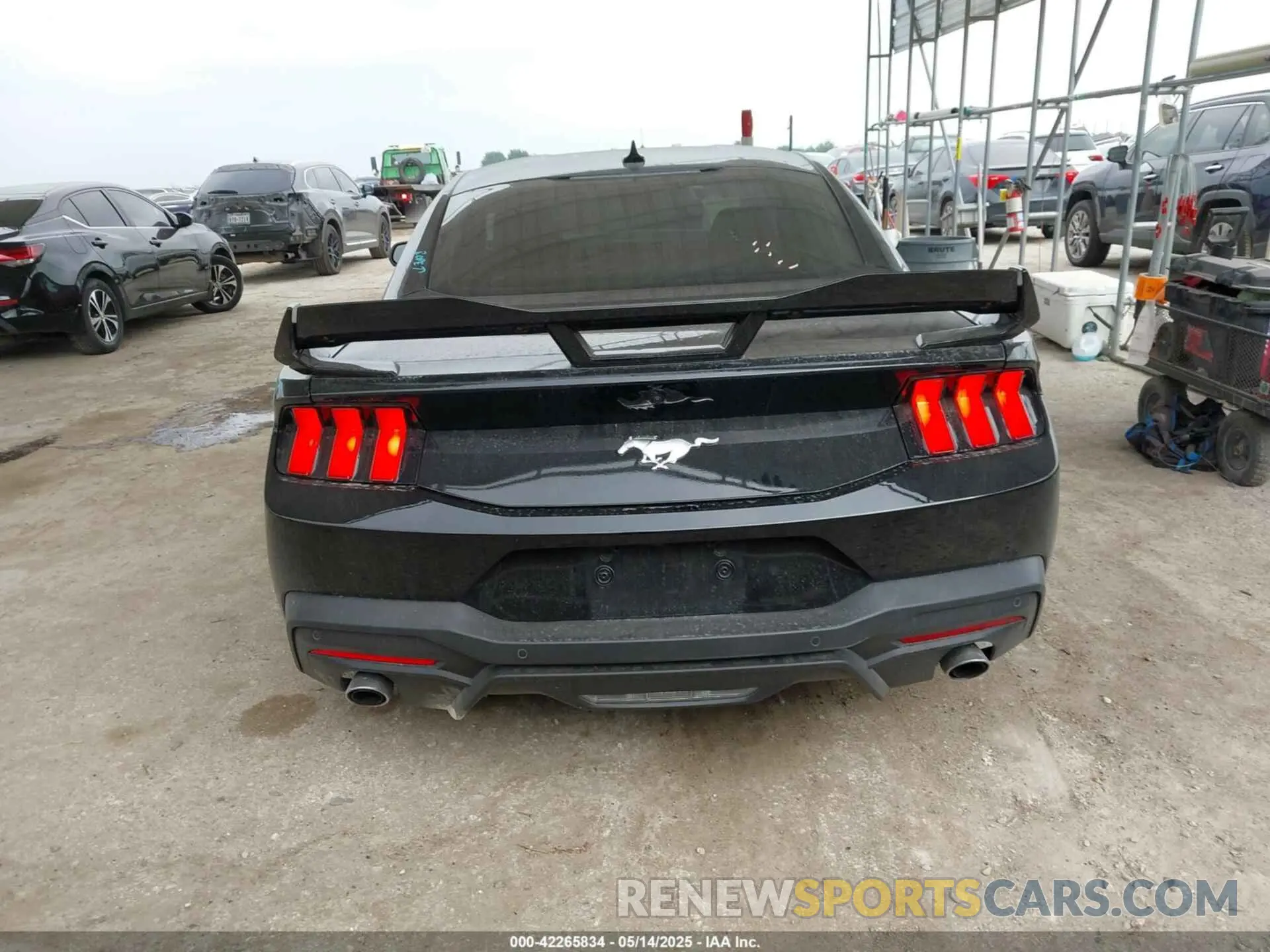 17 Photograph of a damaged car 1FA6P8TH2R5109961 FORD MUSTANG 2024