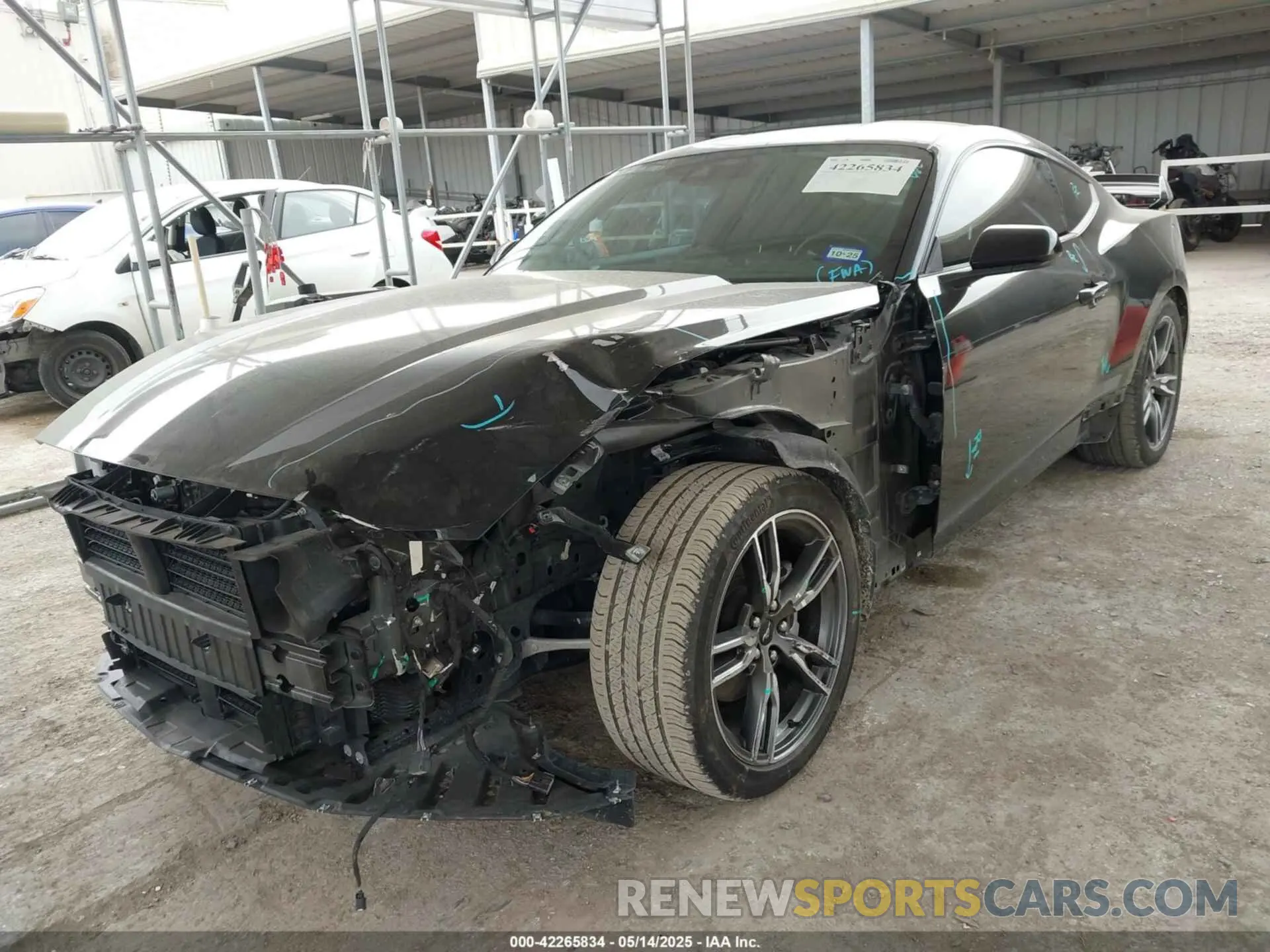 6 Photograph of a damaged car 1FA6P8TH2R5109961 FORD MUSTANG 2024