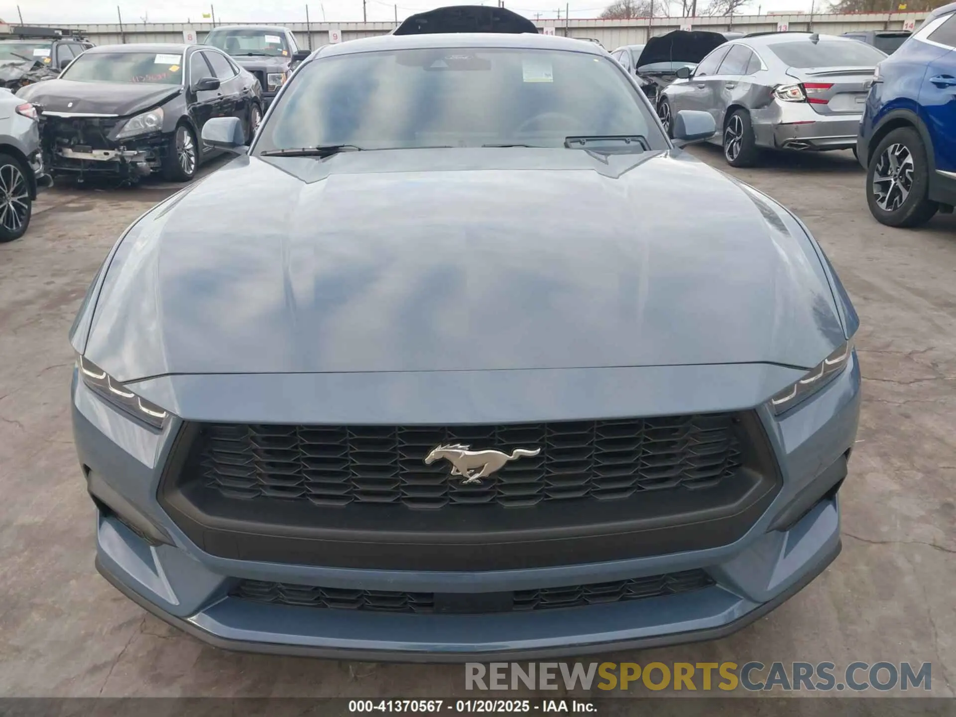 12 Photograph of a damaged car 1FA6P8TH2R5146587 FORD MUSTANG 2024