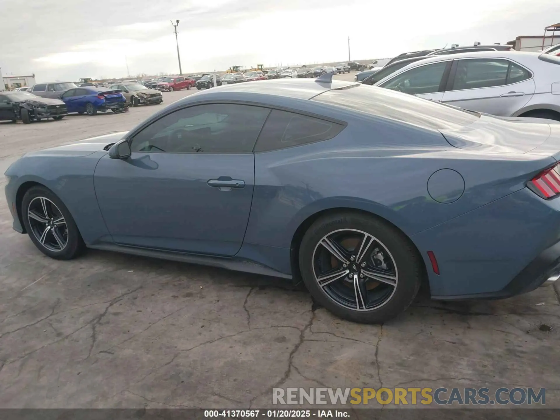 14 Photograph of a damaged car 1FA6P8TH2R5146587 FORD MUSTANG 2024