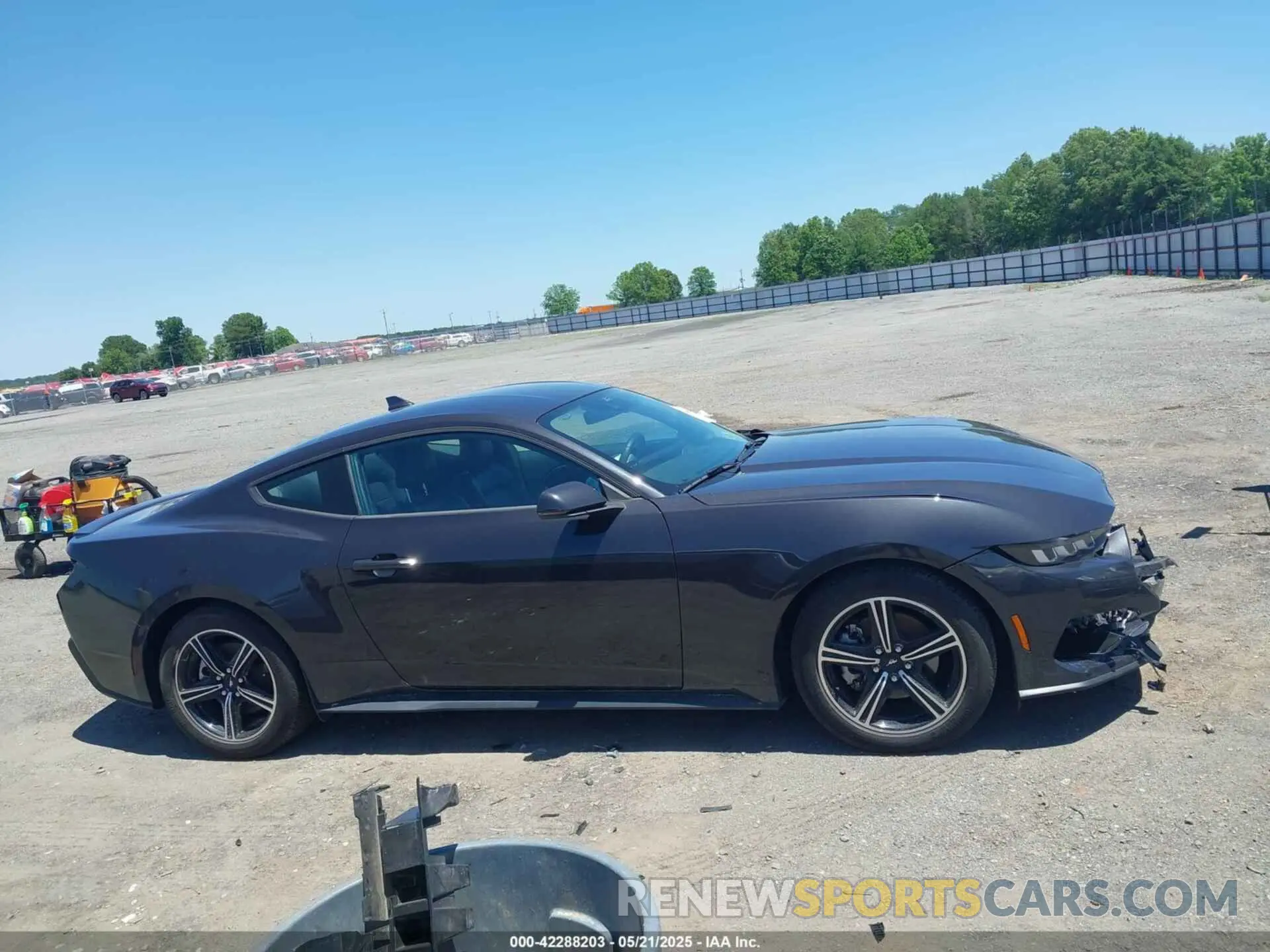 13 Photograph of a damaged car 1FA6P8TH3R5114246 FORD MUSTANG 2024