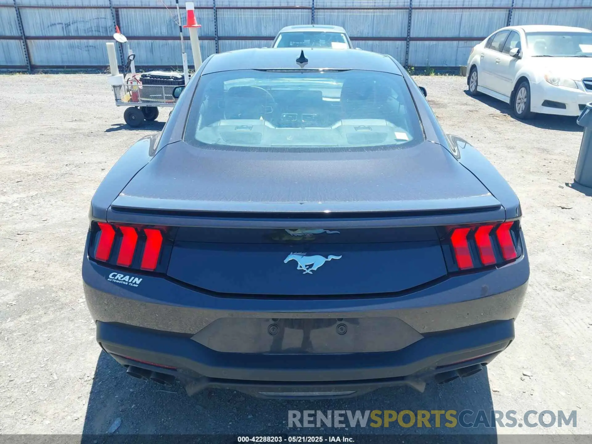 16 Photograph of a damaged car 1FA6P8TH3R5114246 FORD MUSTANG 2024