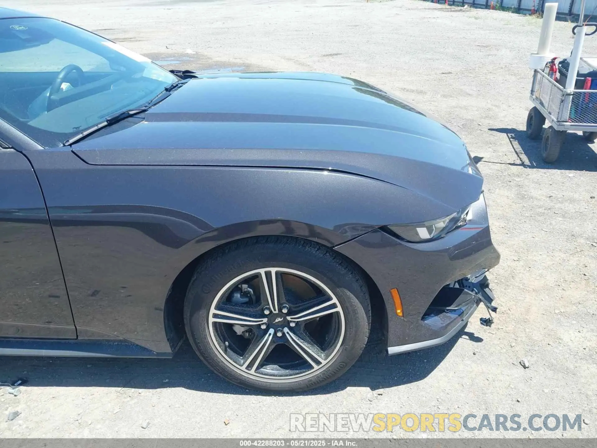 17 Photograph of a damaged car 1FA6P8TH3R5114246 FORD MUSTANG 2024
