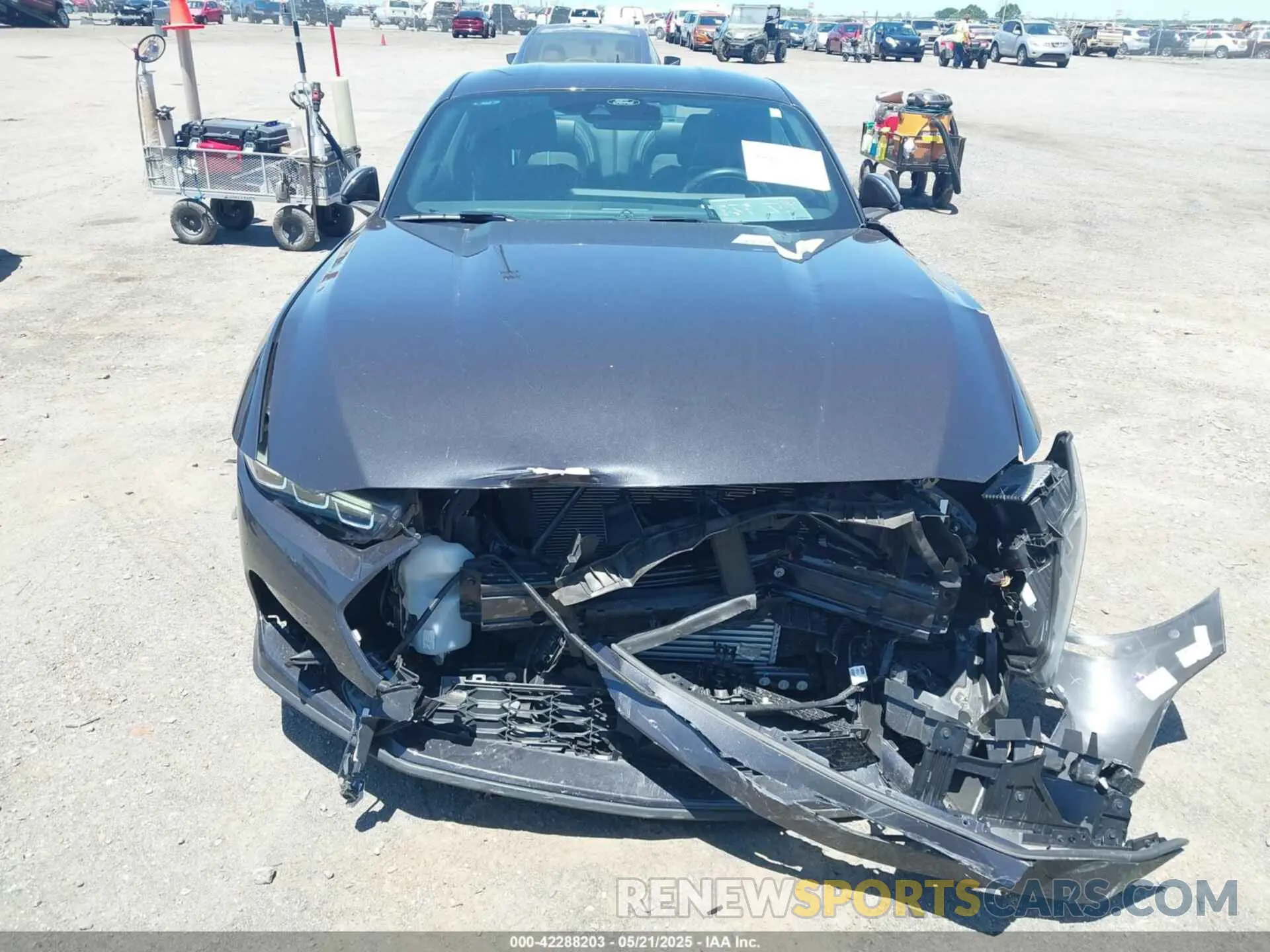 6 Photograph of a damaged car 1FA6P8TH3R5114246 FORD MUSTANG 2024
