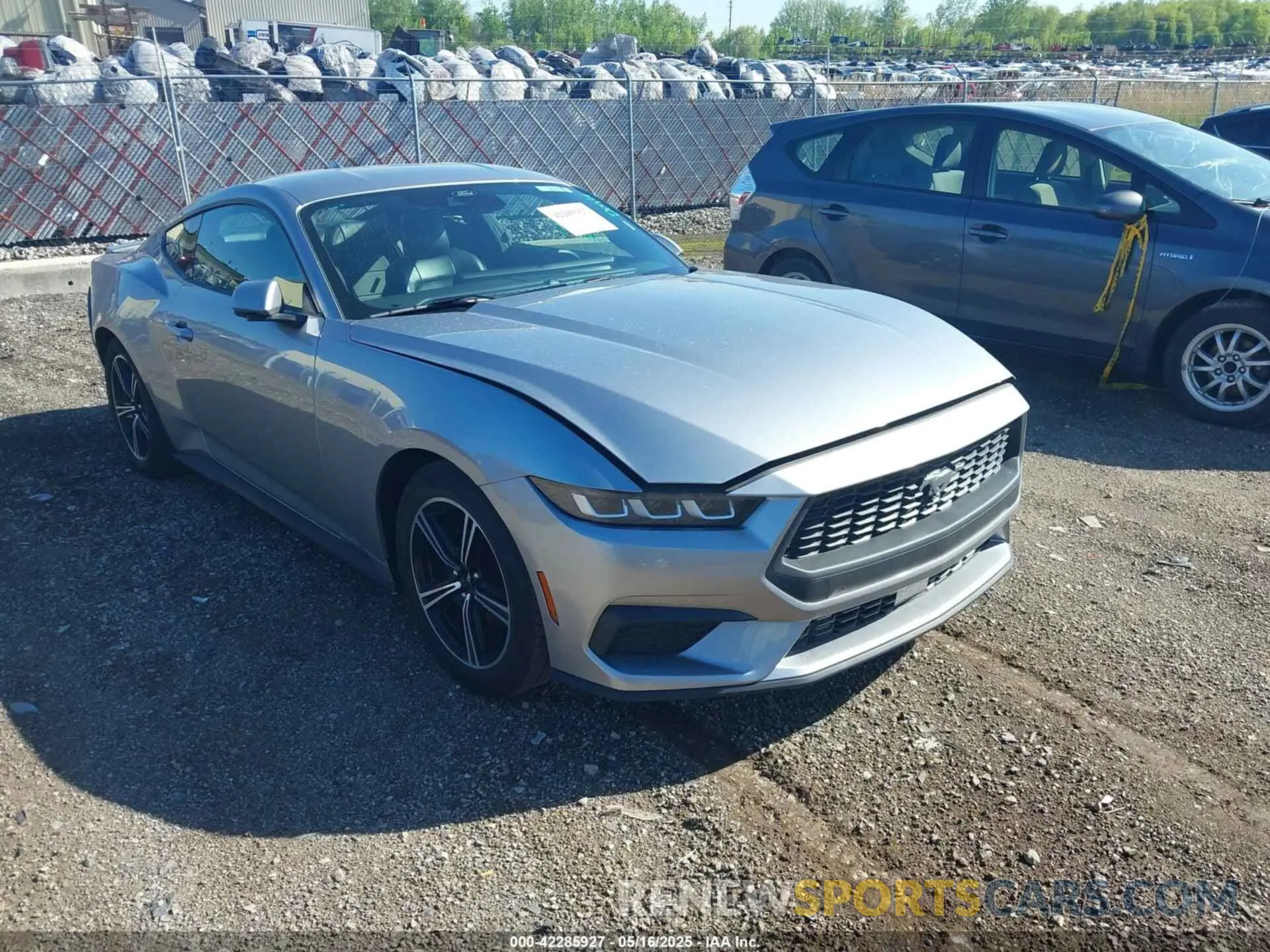 1 Photograph of a damaged car 1FA6P8TH3R5130365 FORD MUSTANG 2024