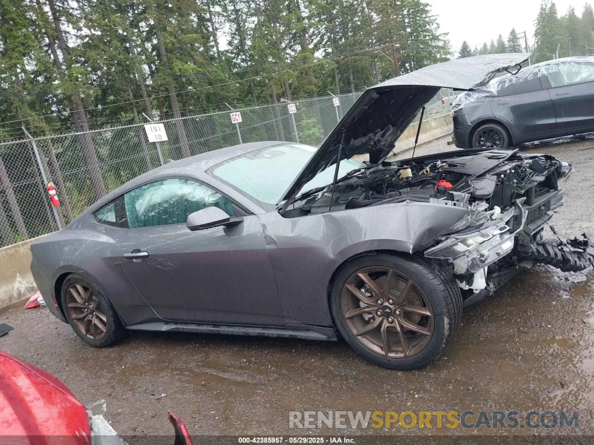 13 Photograph of a damaged car 1FA6P8TH3R5138045 FORD MUSTANG 2024