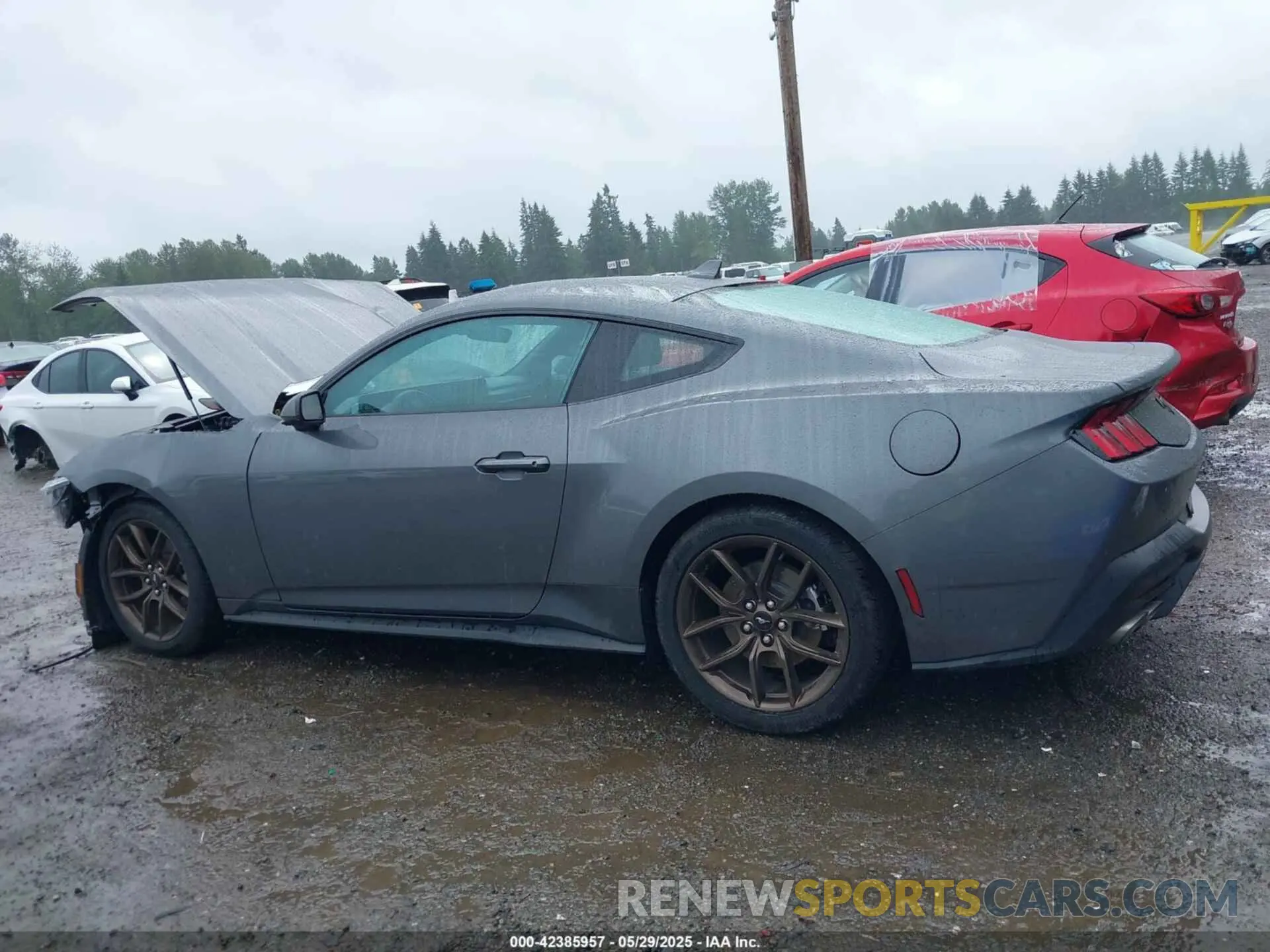 14 Photograph of a damaged car 1FA6P8TH3R5138045 FORD MUSTANG 2024
