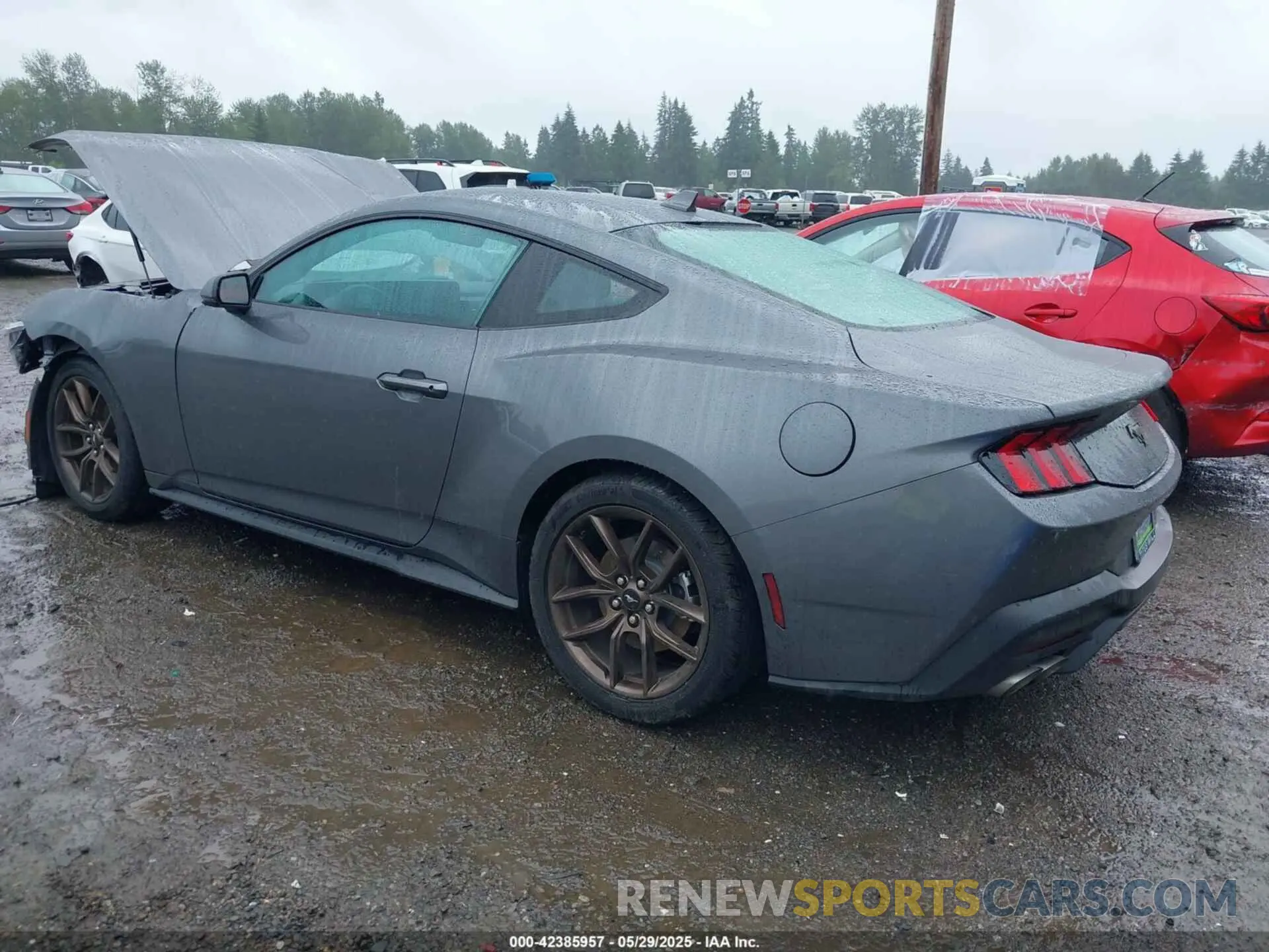 3 Photograph of a damaged car 1FA6P8TH3R5138045 FORD MUSTANG 2024