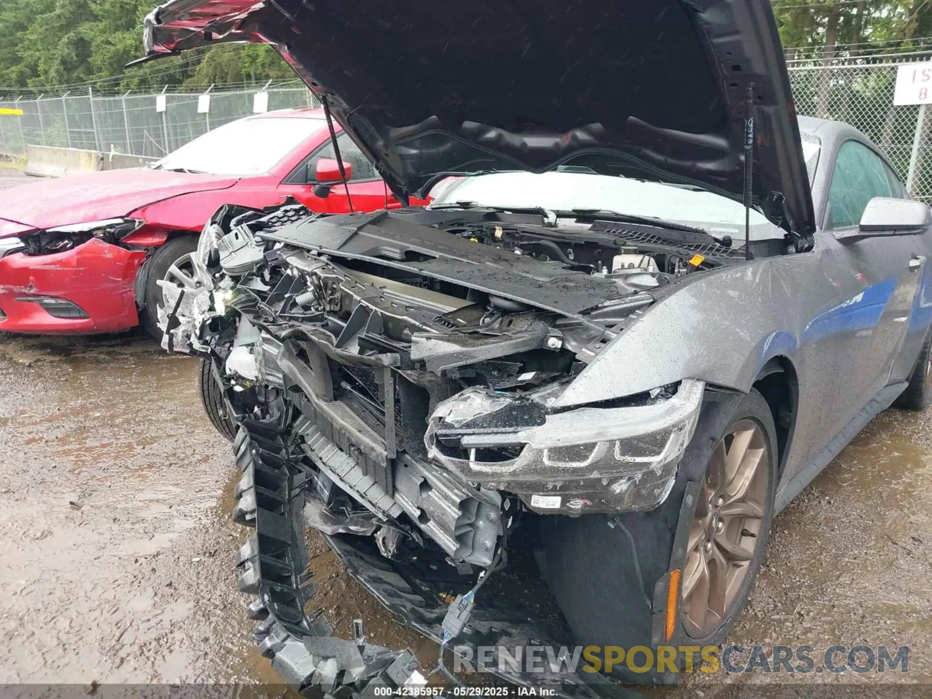 6 Photograph of a damaged car 1FA6P8TH3R5138045 FORD MUSTANG 2024