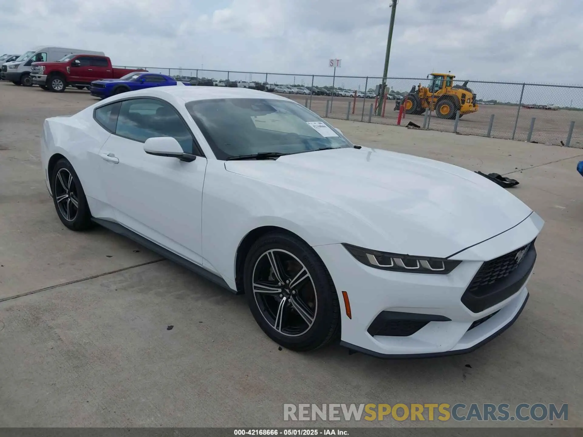 1 Photograph of a damaged car 1FA6P8TH3R5139955 FORD MUSTANG 2024
