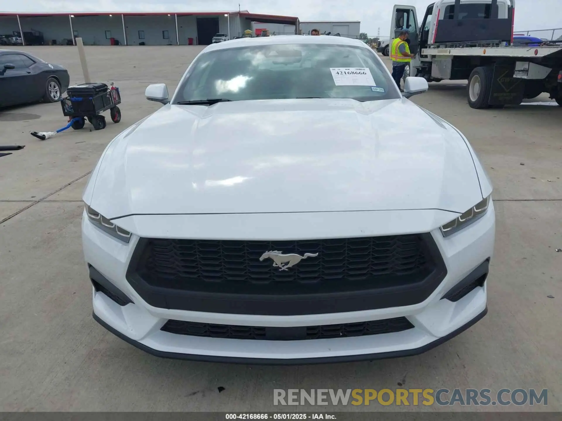 12 Photograph of a damaged car 1FA6P8TH3R5139955 FORD MUSTANG 2024