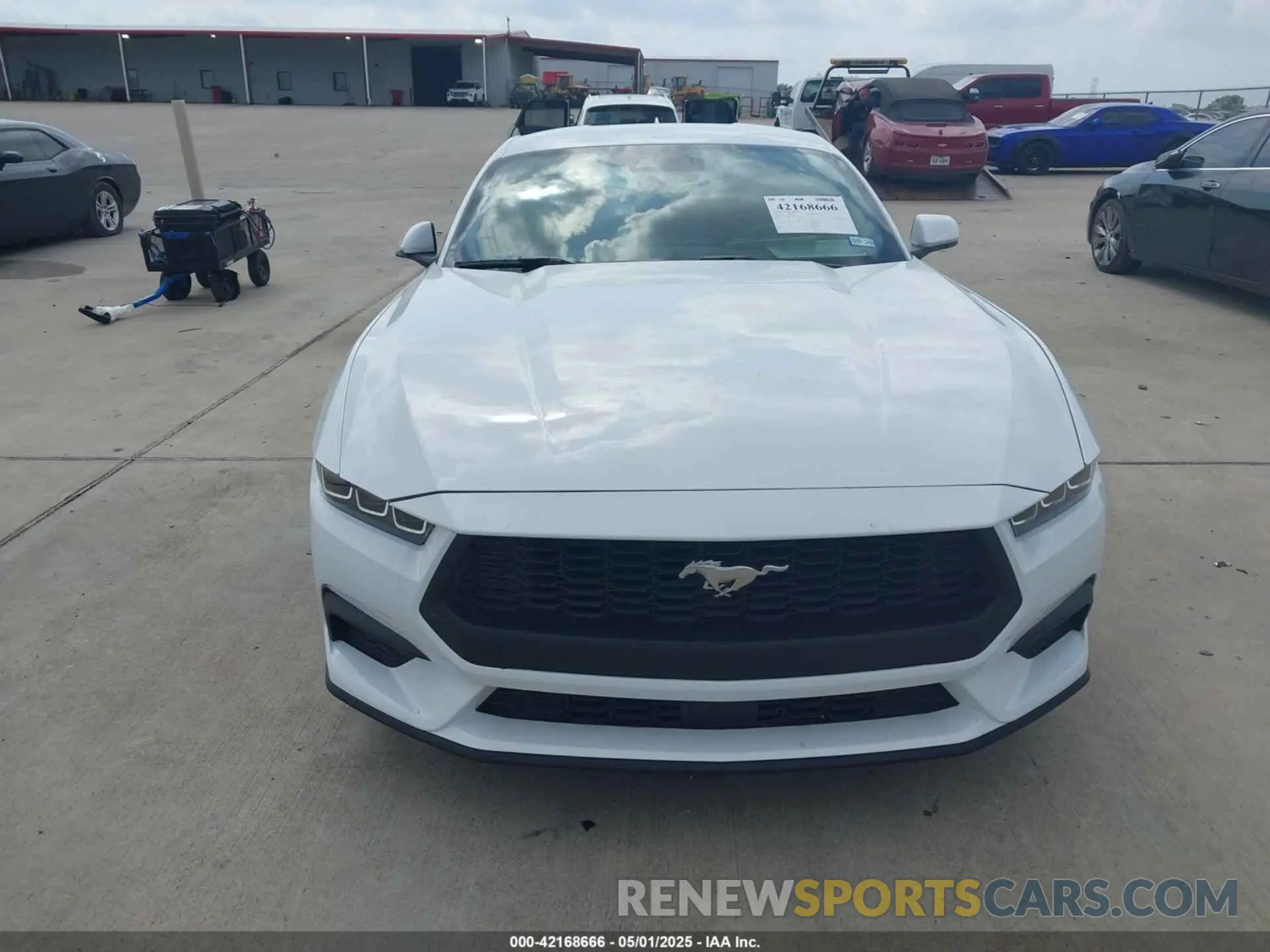 6 Photograph of a damaged car 1FA6P8TH3R5139955 FORD MUSTANG 2024