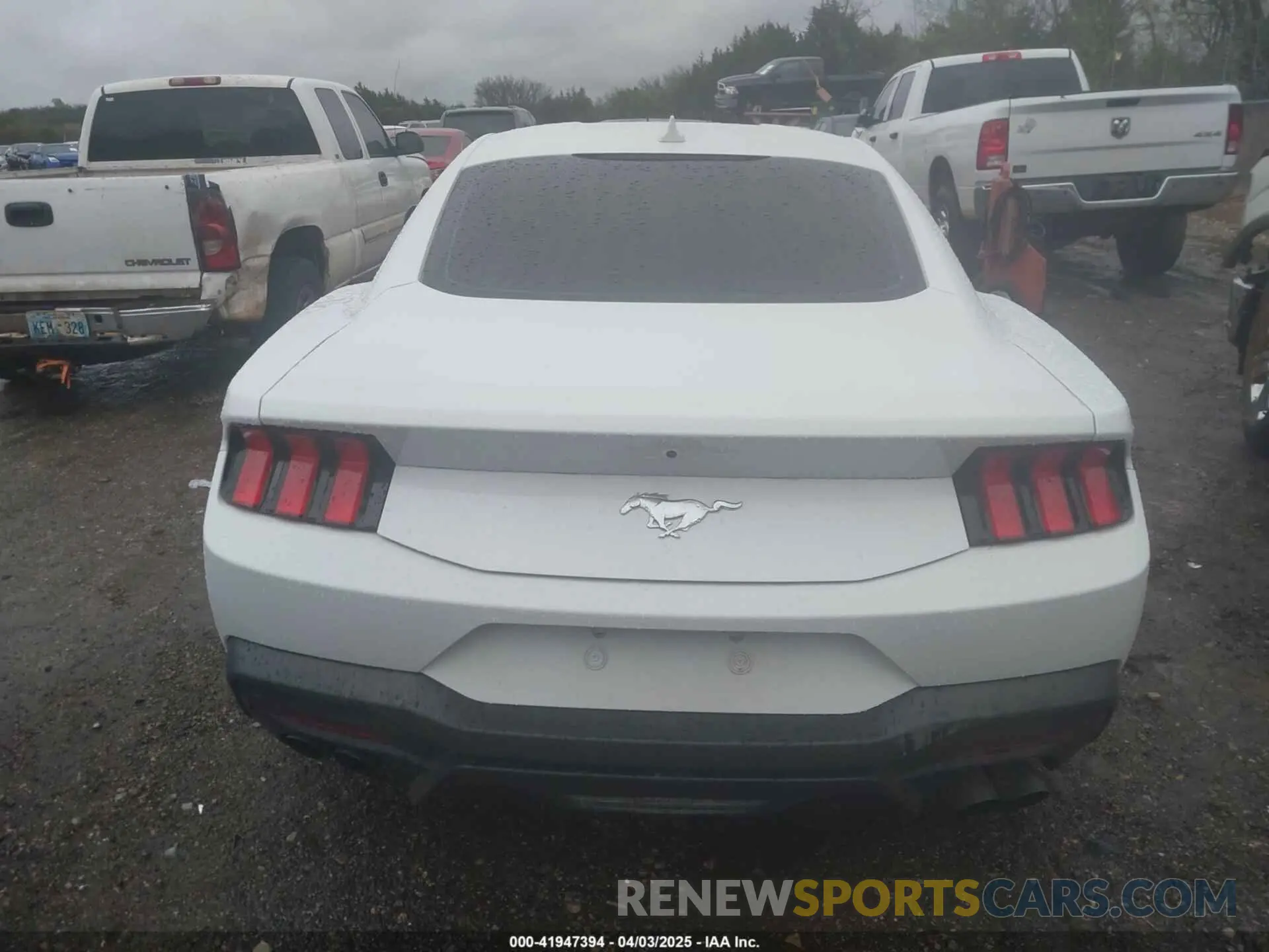 16 Photograph of a damaged car 1FA6P8TH5R5110683 FORD MUSTANG 2024