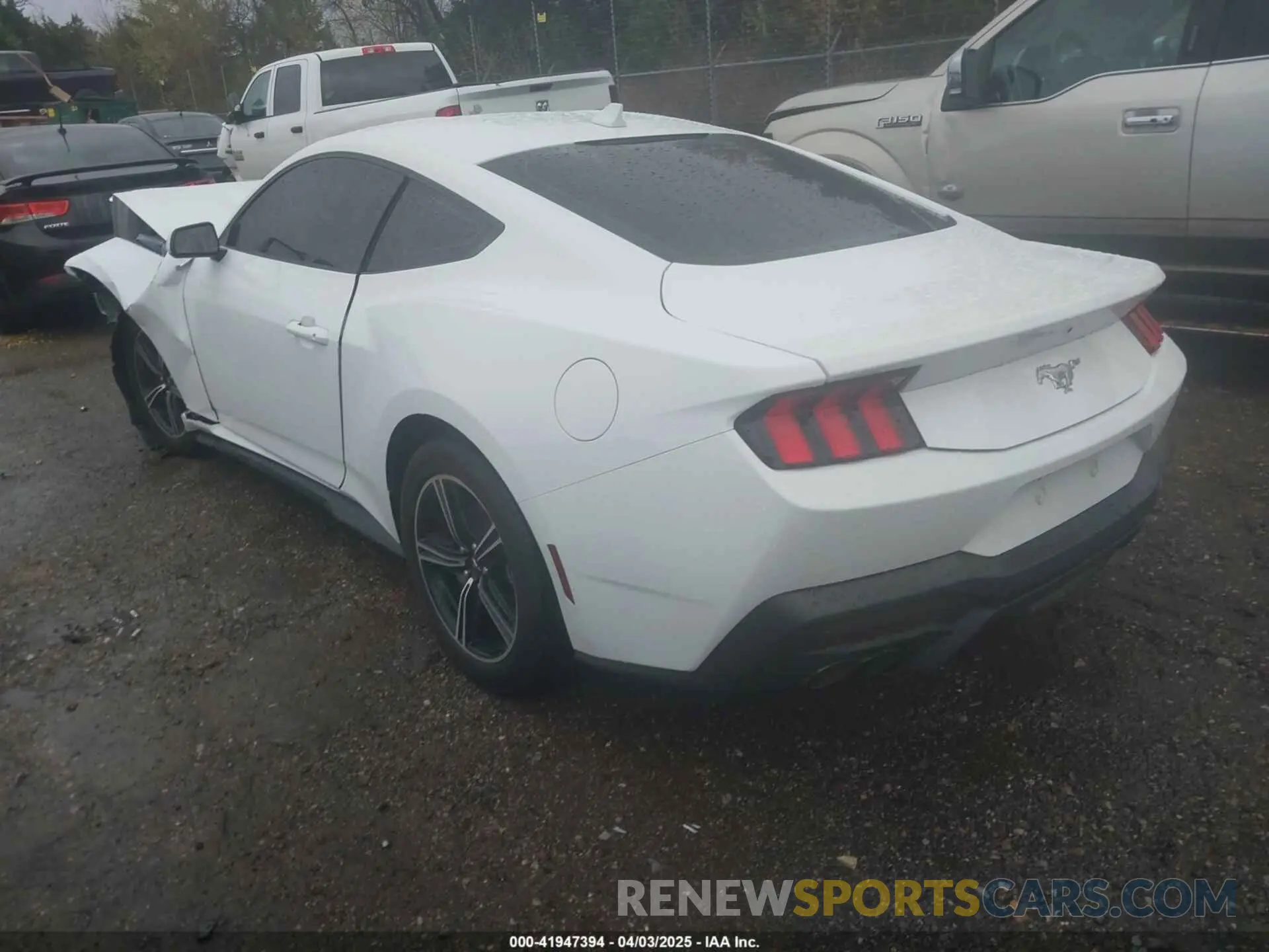 3 Photograph of a damaged car 1FA6P8TH5R5110683 FORD MUSTANG 2024