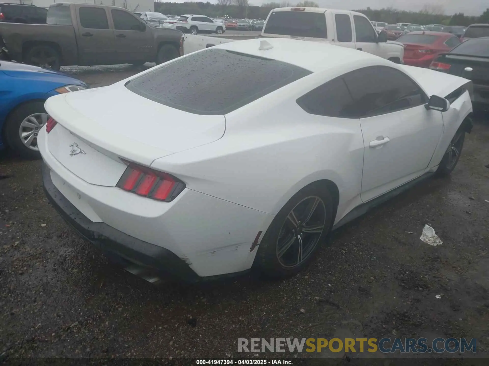 4 Photograph of a damaged car 1FA6P8TH5R5110683 FORD MUSTANG 2024