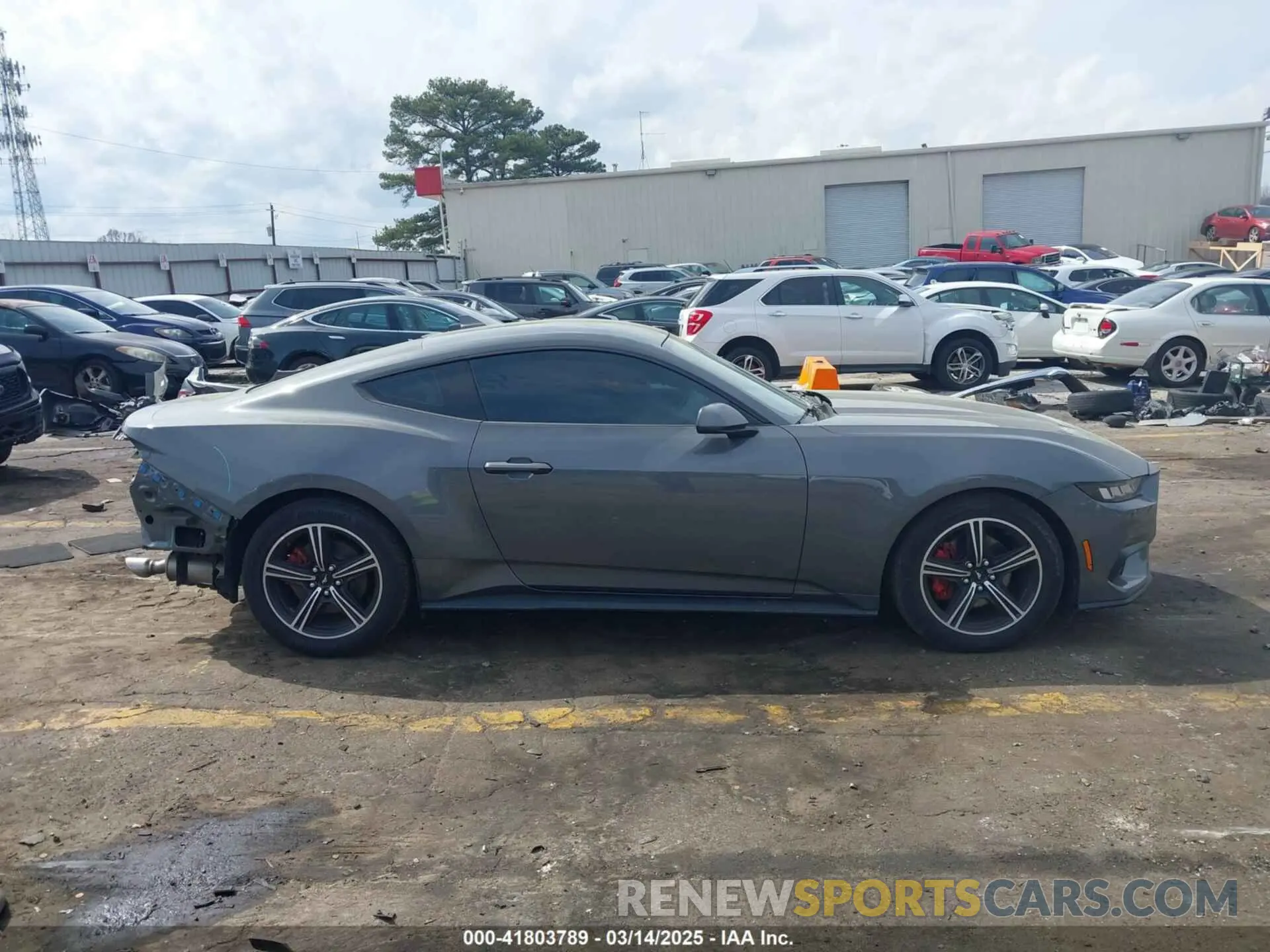 14 Photograph of a damaged car 1FA6P8TH6R5133406 FORD MUSTANG 2024