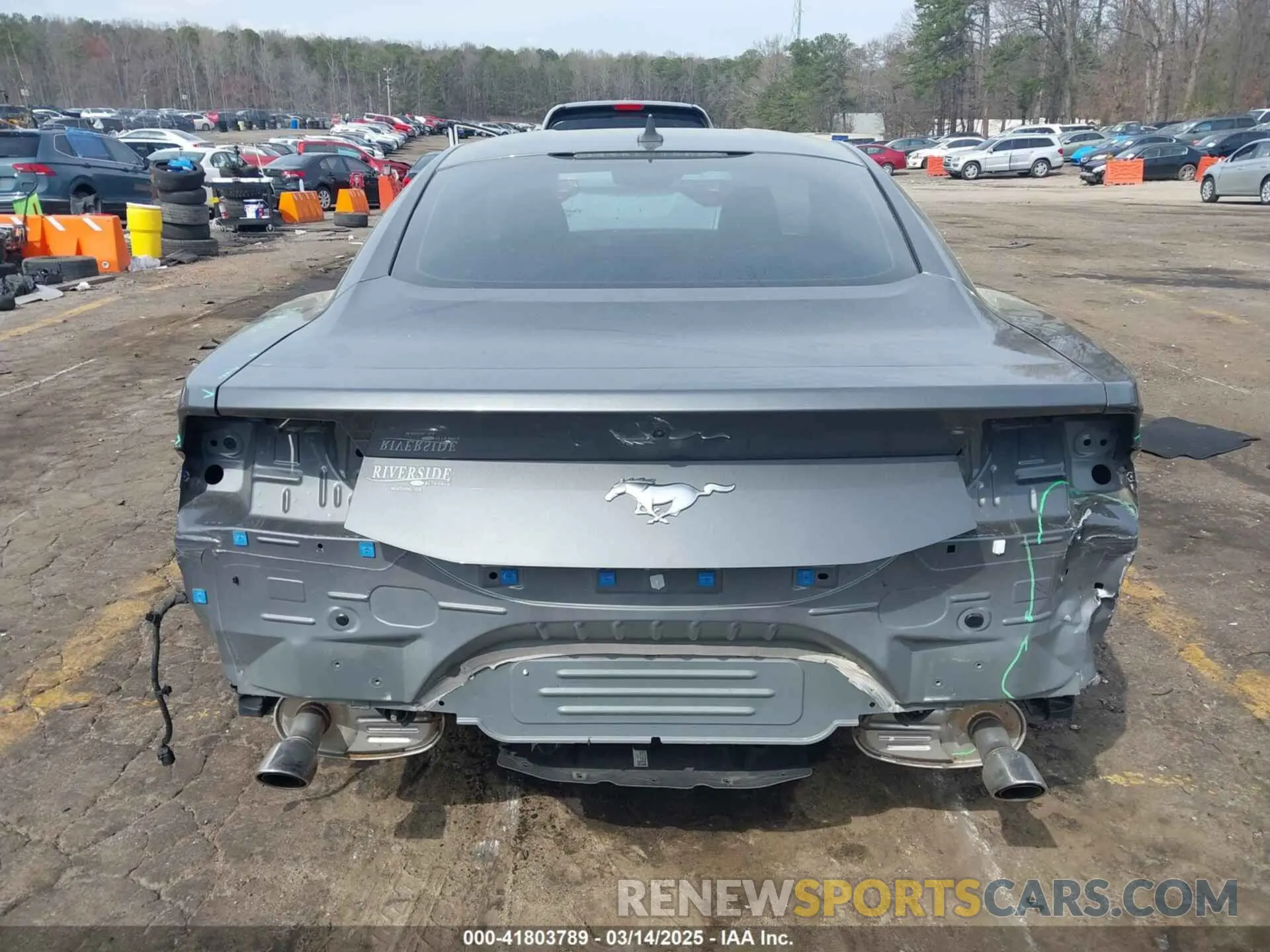 17 Photograph of a damaged car 1FA6P8TH6R5133406 FORD MUSTANG 2024