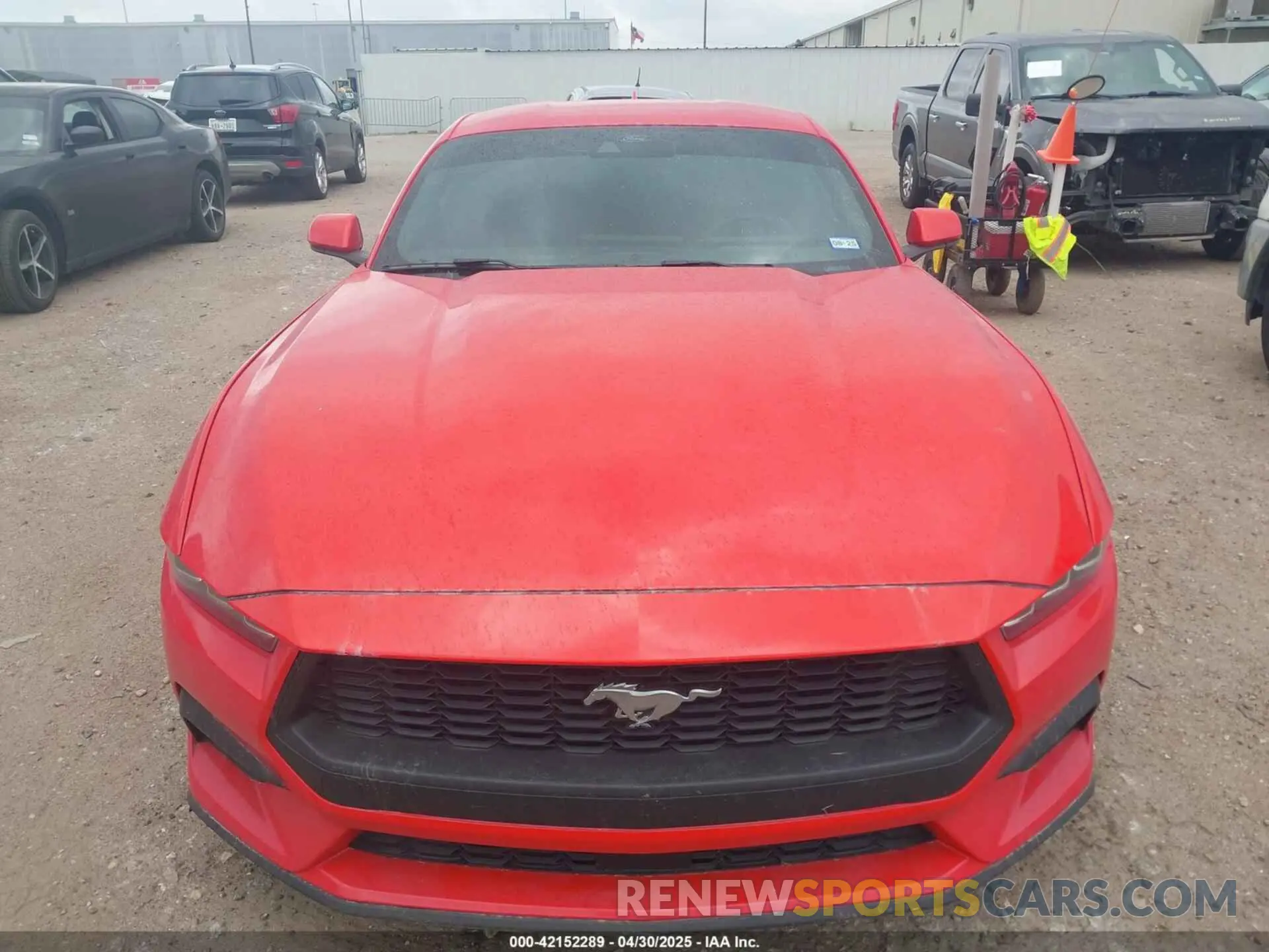 12 Photograph of a damaged car 1FA6P8TH7R5106652 FORD MUSTANG 2024