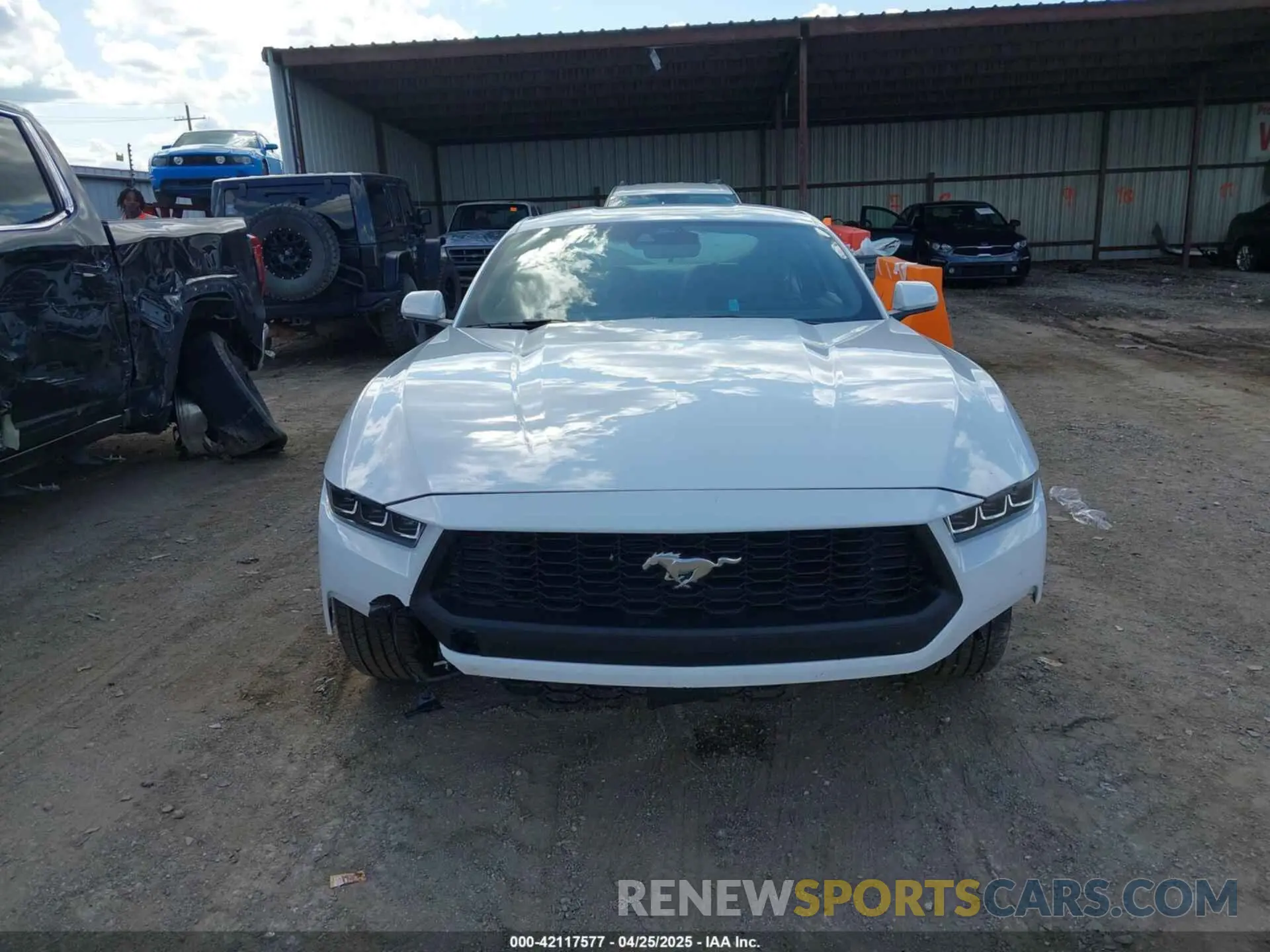 12 Photograph of a damaged car 1FA6P8TH7R5149694 FORD MUSTANG 2024