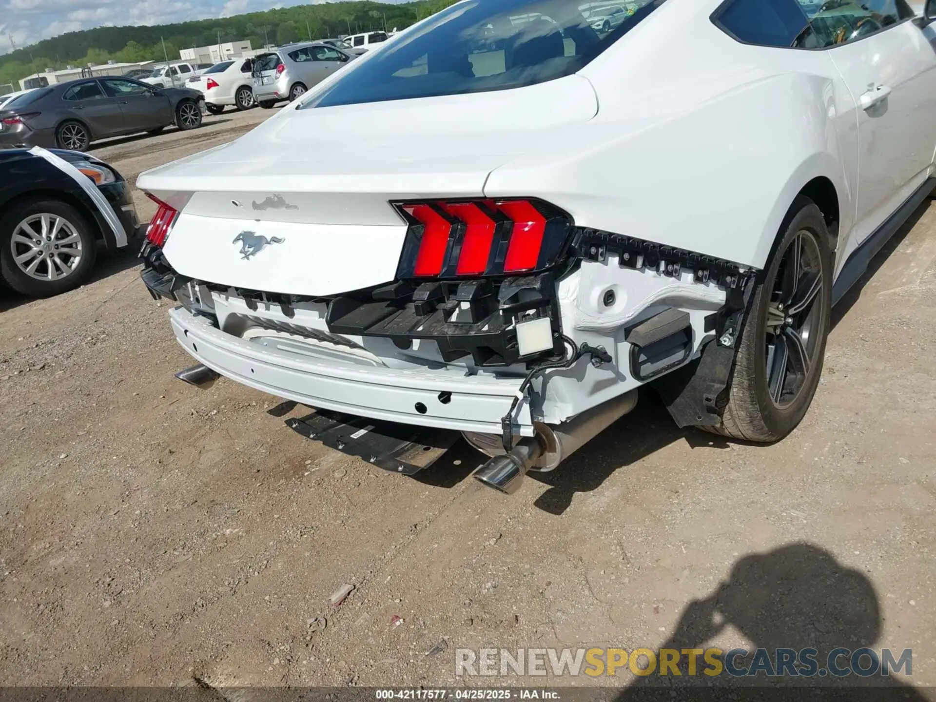 17 Photograph of a damaged car 1FA6P8TH7R5149694 FORD MUSTANG 2024
