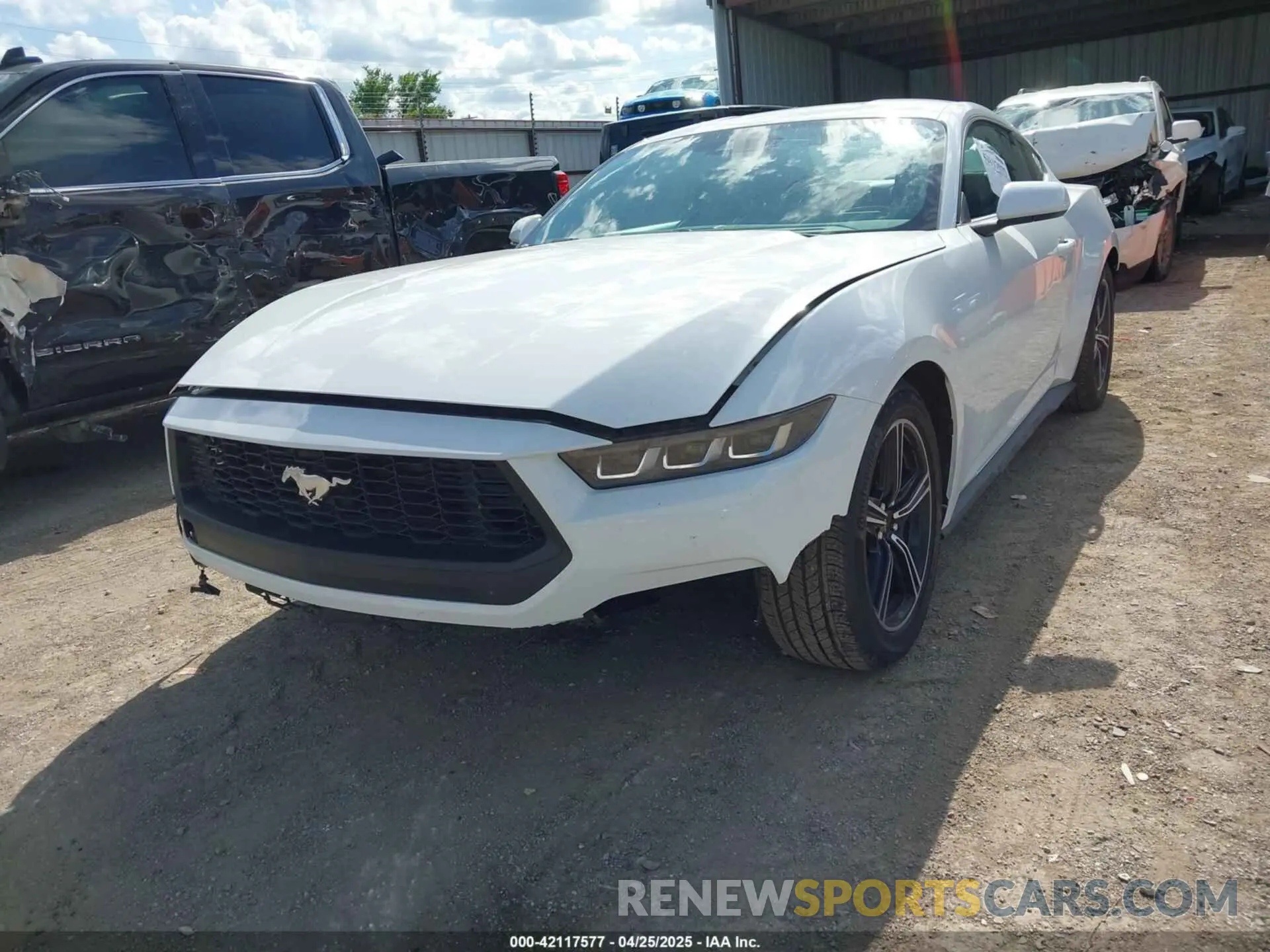 19 Photograph of a damaged car 1FA6P8TH7R5149694 FORD MUSTANG 2024
