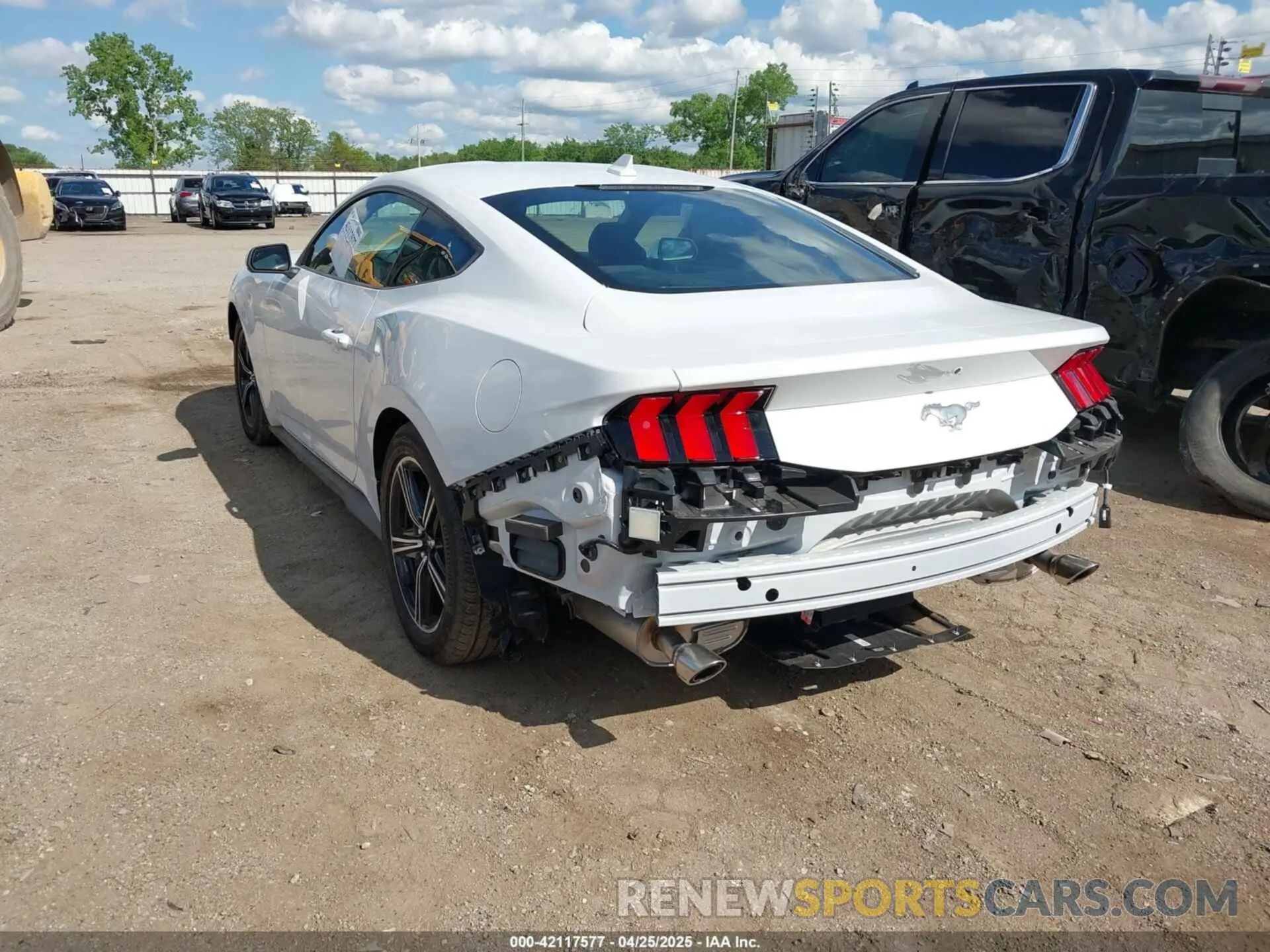 3 Photograph of a damaged car 1FA6P8TH7R5149694 FORD MUSTANG 2024
