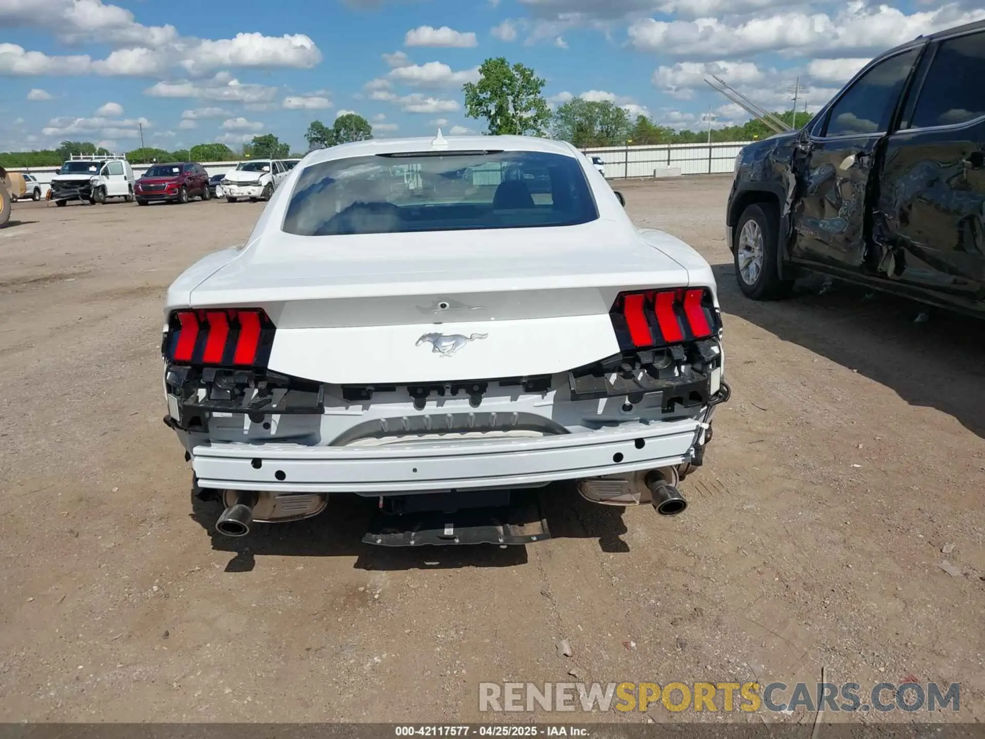 6 Photograph of a damaged car 1FA6P8TH7R5149694 FORD MUSTANG 2024