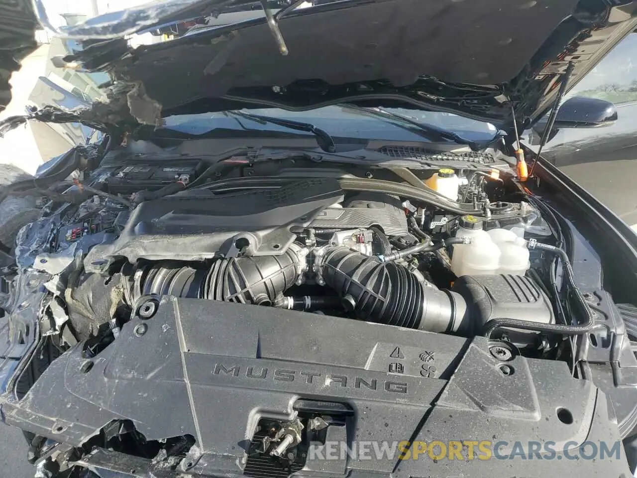 12 Photograph of a damaged car 1FAGP8FF8R5126634 FORD MUSTANG 2024
