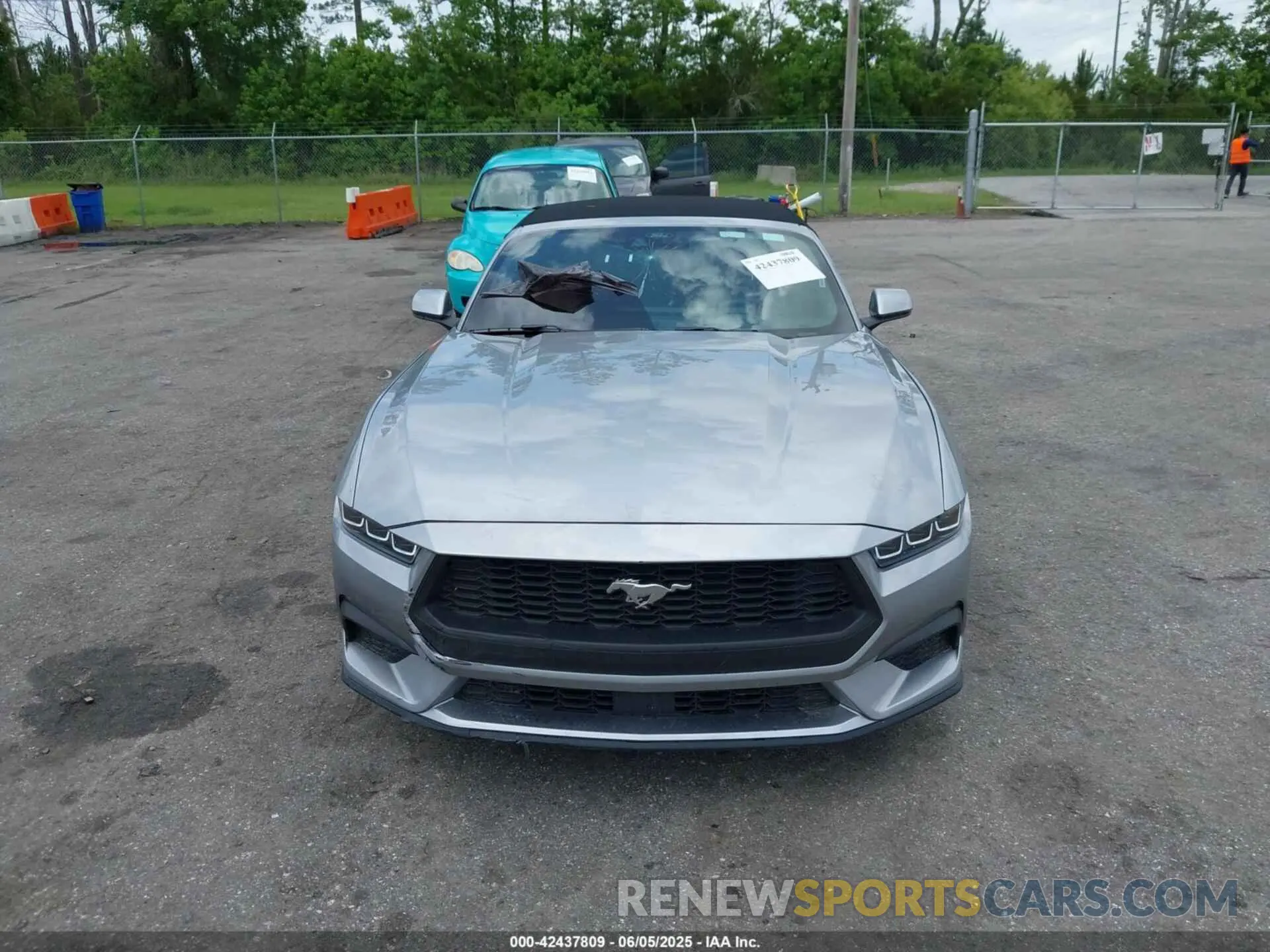 12 Photograph of a damaged car 1FAGP8UH5R5125087 FORD MUSTANG 2024